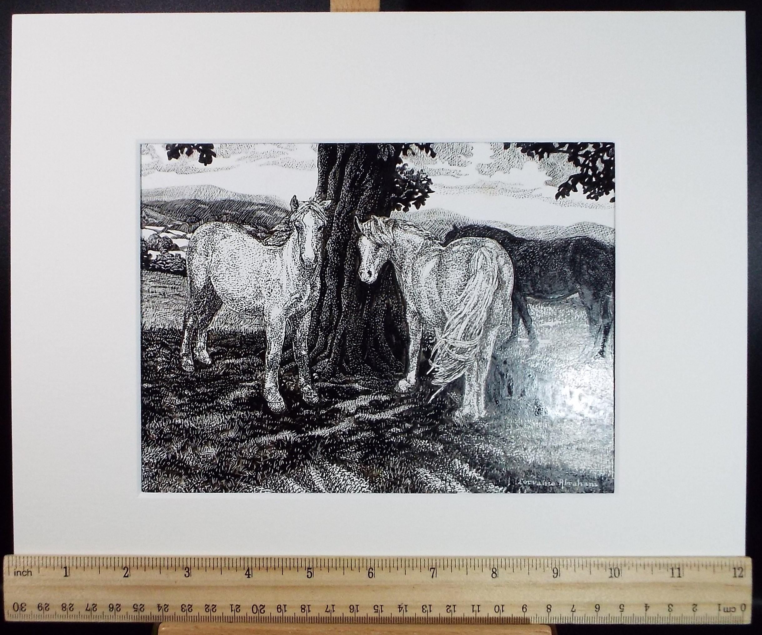 Original Scraperboard & ink drawing, 'Horses beneath the beech', Lorraine Abraham RSMA (1941-2023), Circa 1990's