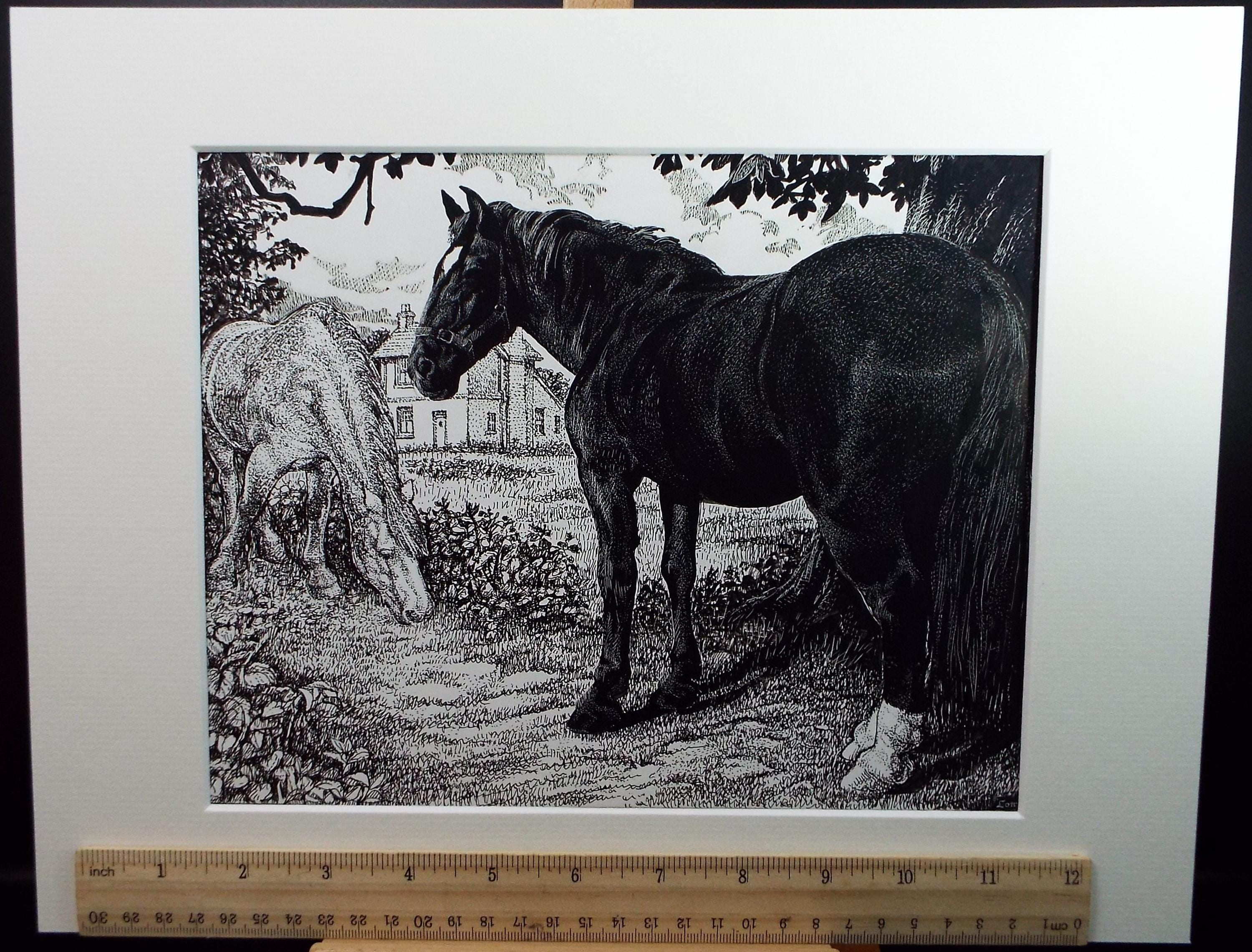 Original Scraperboard & ink drawing, 'Horses in the Paddock', Lorraine Abraham RSMA (1941-2023), Circa 1990's