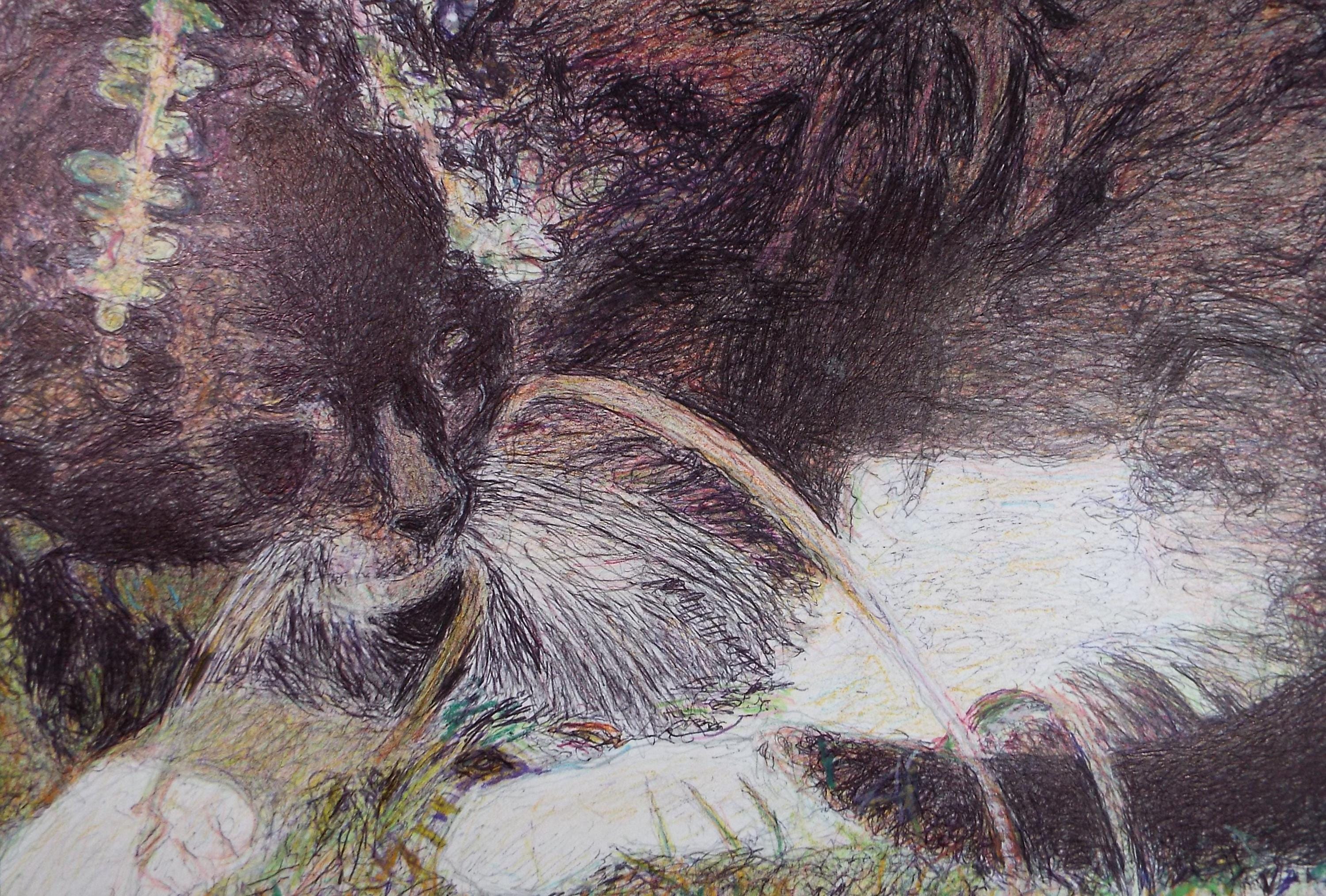 Original Coloured Pencil & Ballpoint pen, 'Cat Study', Unknown Artist, Circa 1980's