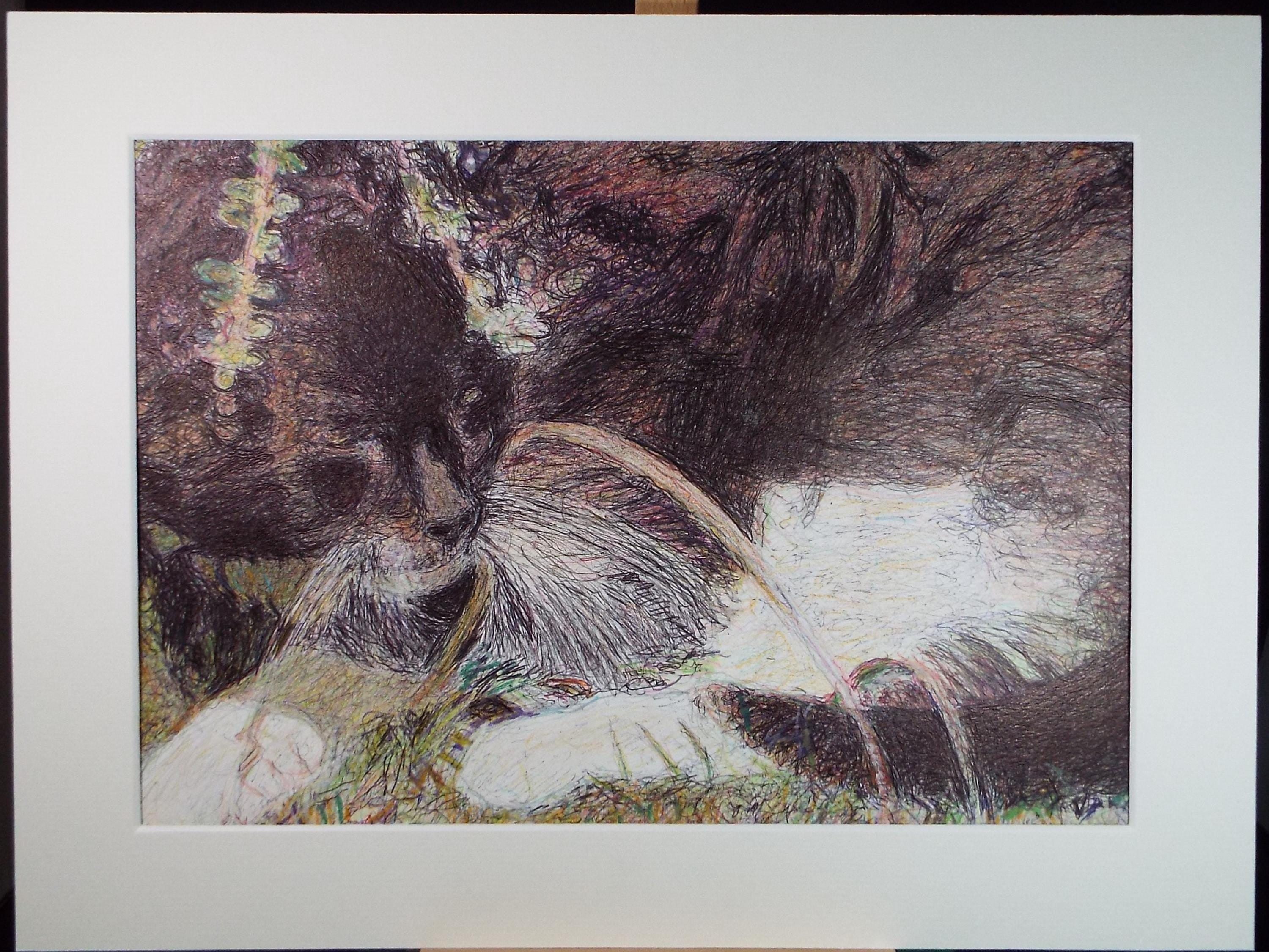 Original Coloured Pencil & Ballpoint pen, 'Cat Study', Unknown Artist, Circa 1980's