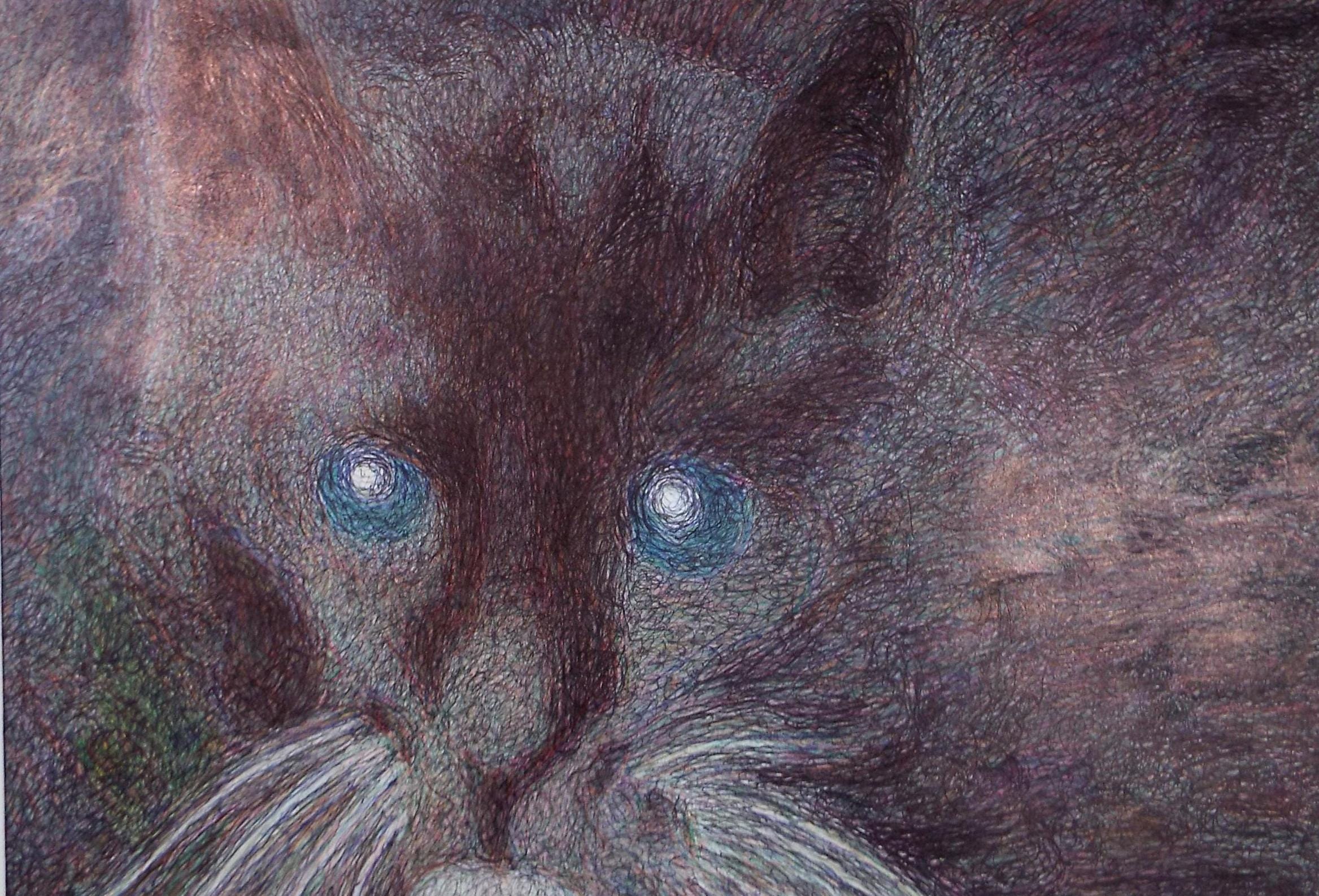 Original Coloured Pencil & Ballpoint pen, 'Cat Study', Unknown Artist, Circa 1980's