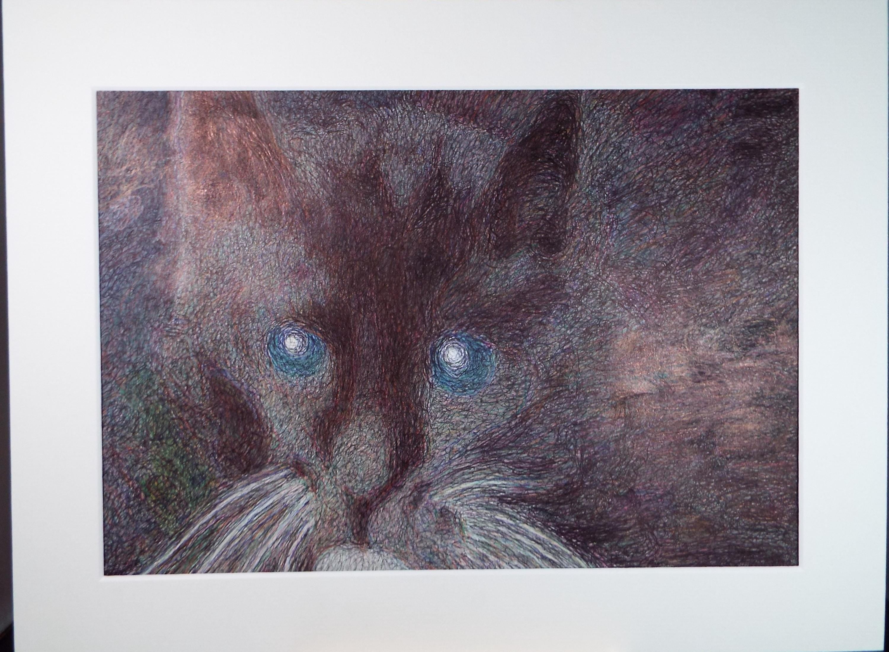 Original Coloured Pencil & Ballpoint pen, 'Cat Study', Unknown Artist, Circa 1980's