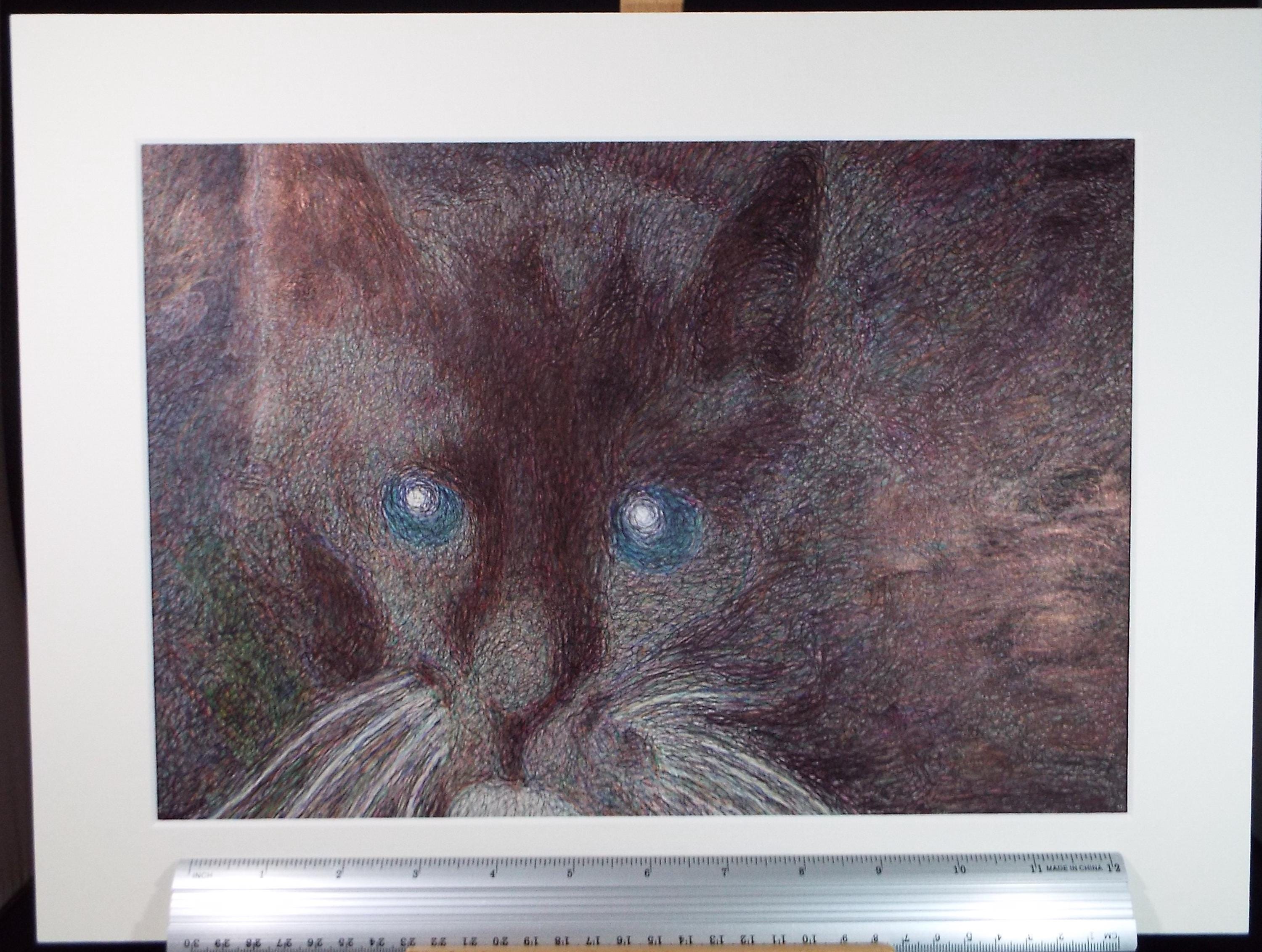 Original Coloured Pencil & Ballpoint pen, 'Cat Study', Unknown Artist, Circa 1980's