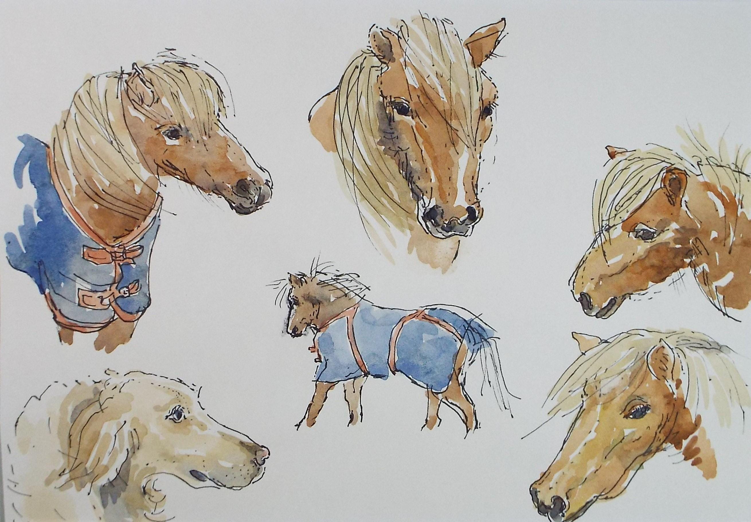 Original Watercolour, 'Study of Ponies and Retriever', artist Unknown, circa 1996