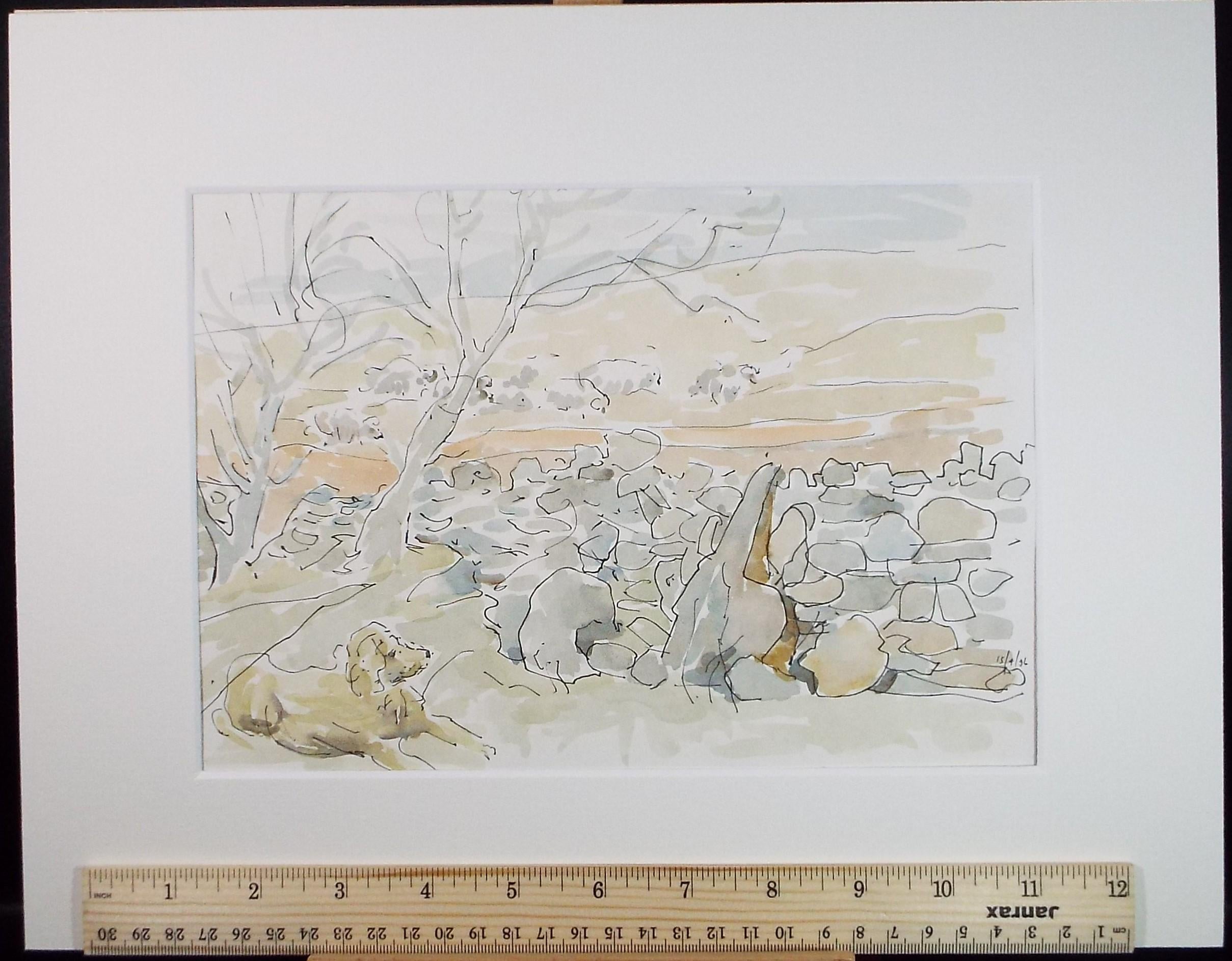 Original watercolour, 'Study of drystone wall and Retriever', Artist Unknown, Dated 1996.