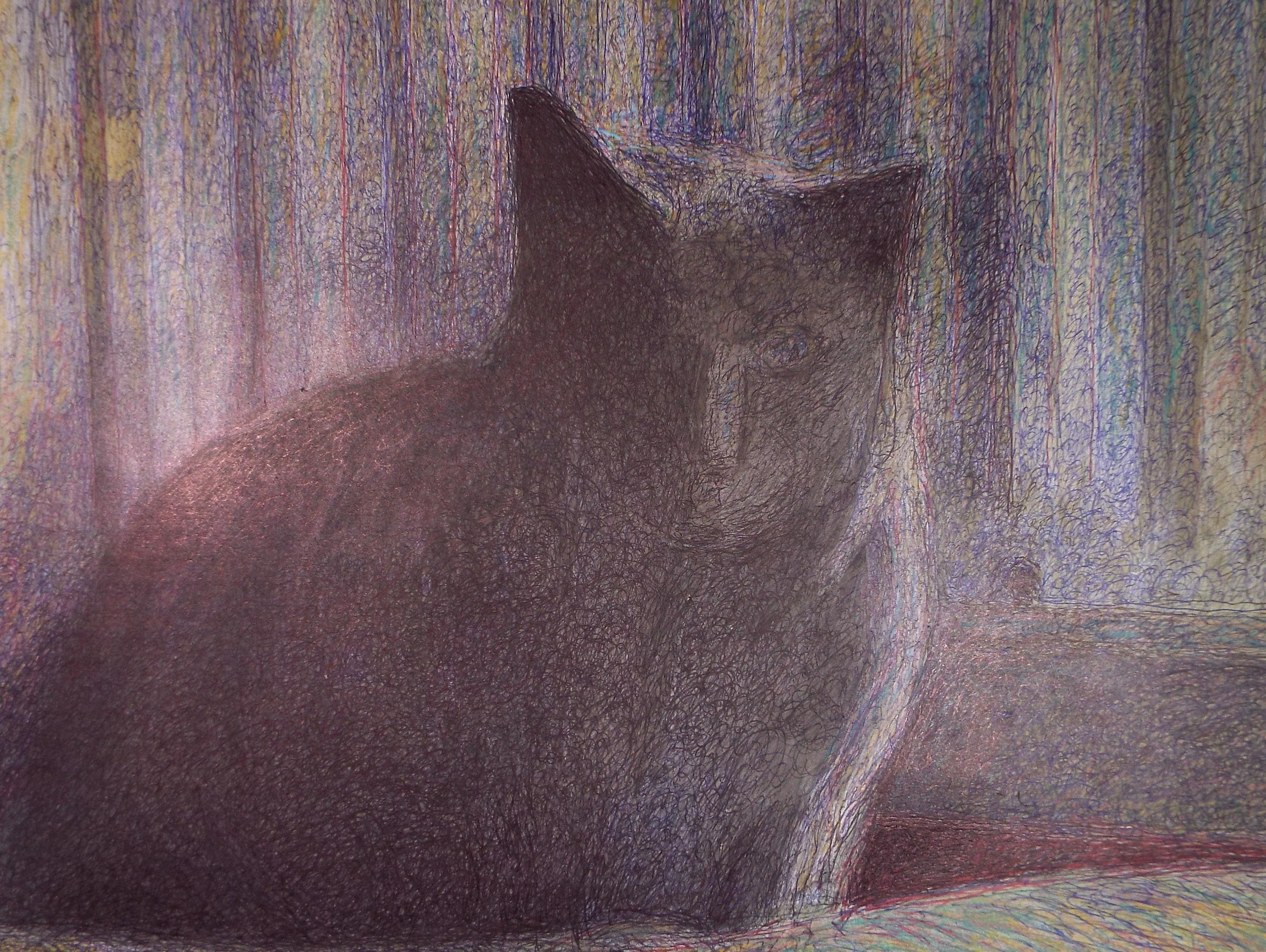 Original Coloured Pencil & Ballpoint pen, 'Black Cat, Unknown Artist, Circa 1980's