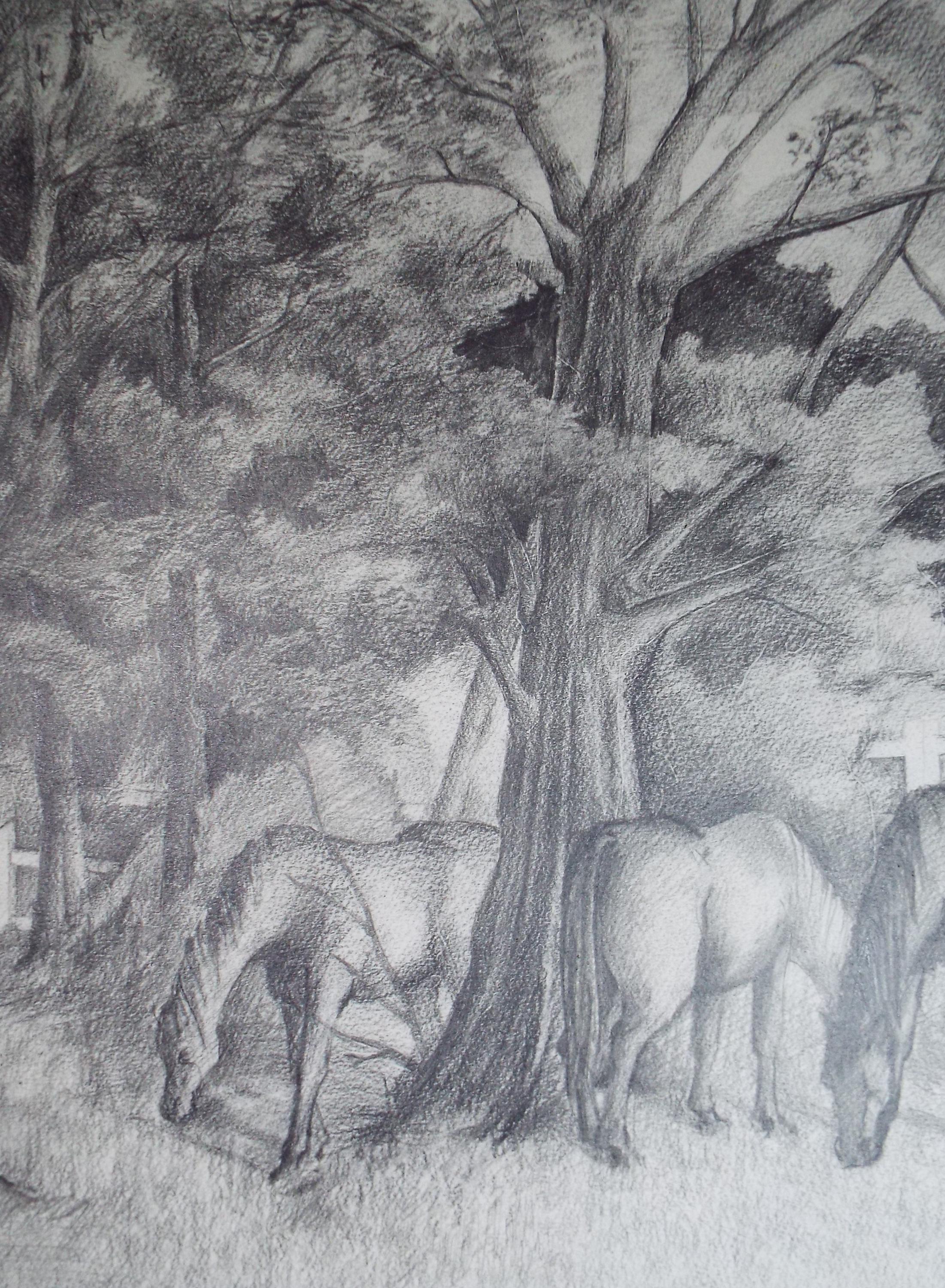 Original Pencil Drawing,'Horses Grazing', Edmund Caswell (1938-1996), circa 1980's