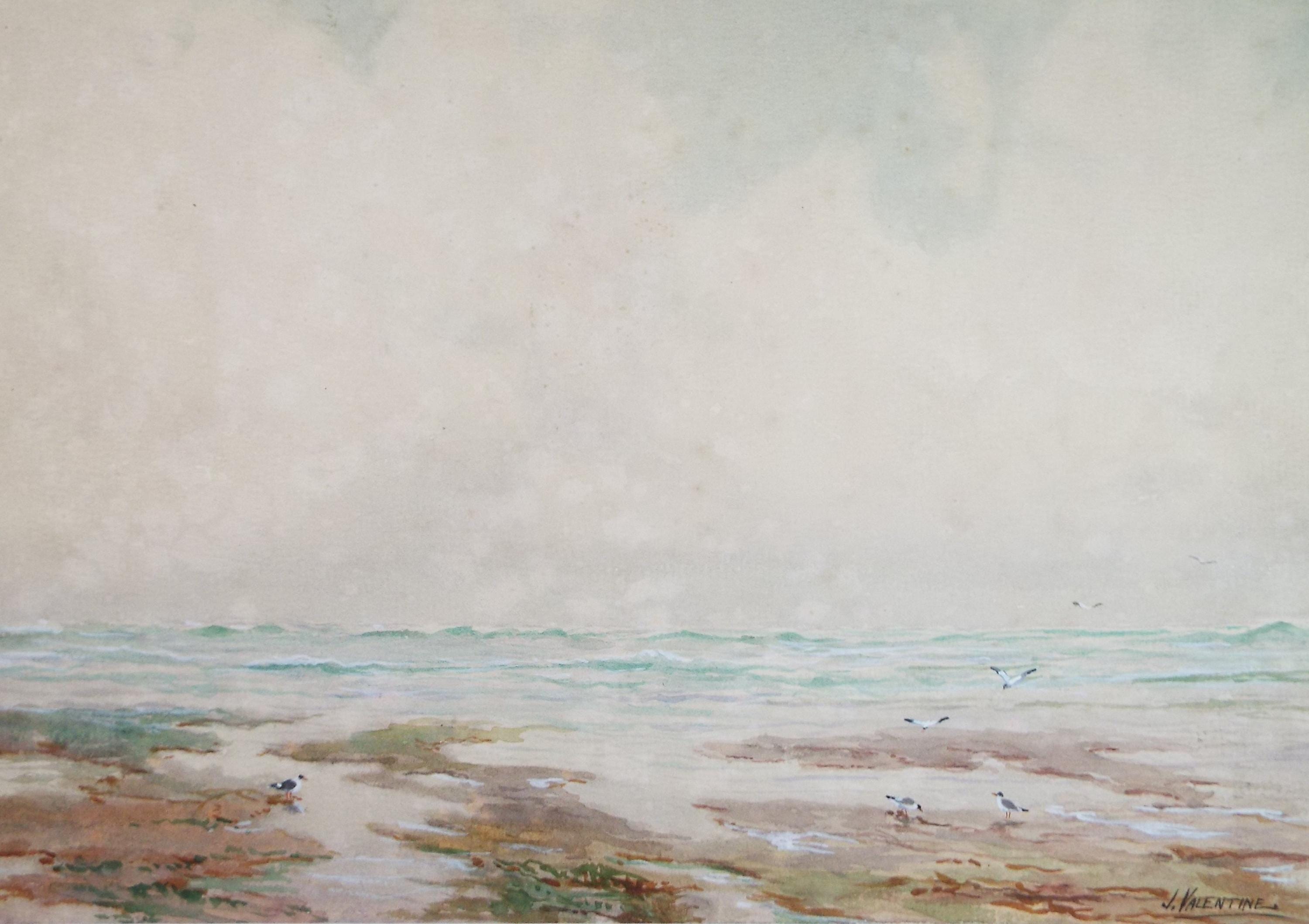 Original Watercolour, 'Gulls on the Shore', Circa 1930's, J Valantine