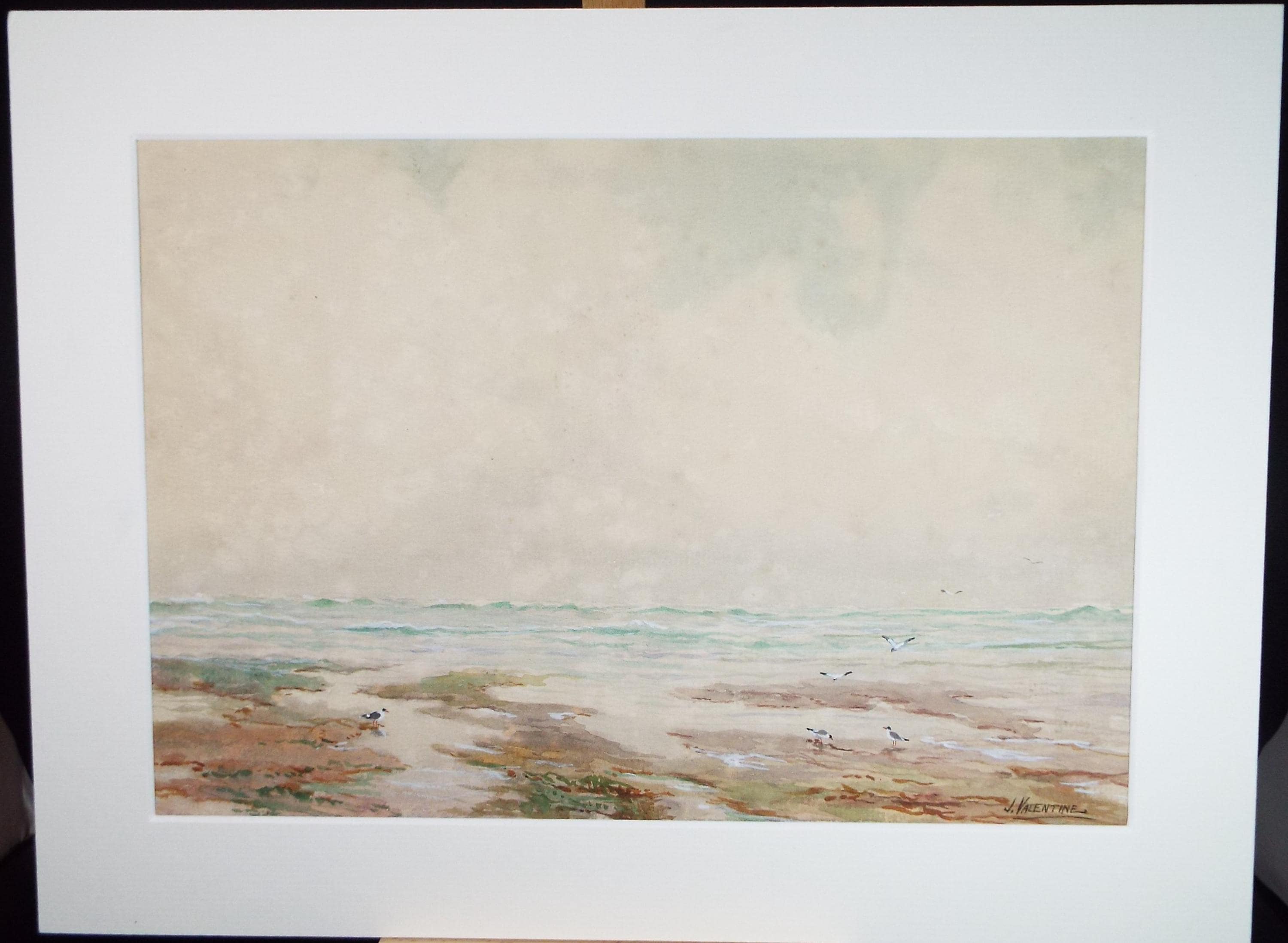 Original Watercolour, 'Gulls on the Shore', Circa 1930's, J Valantine