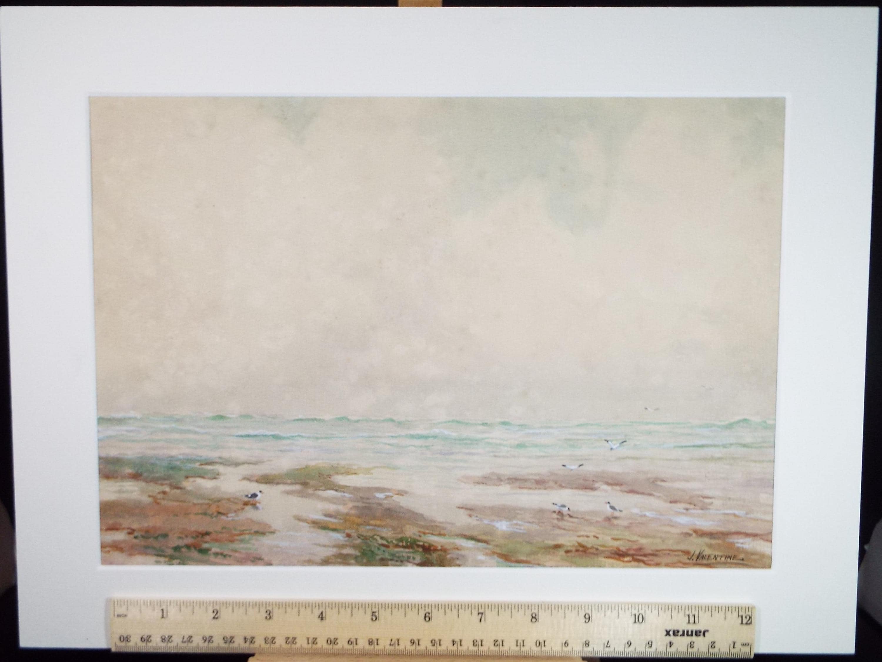 Original Watercolour, 'Gulls on the Shore', Circa 1930's, J Valantine