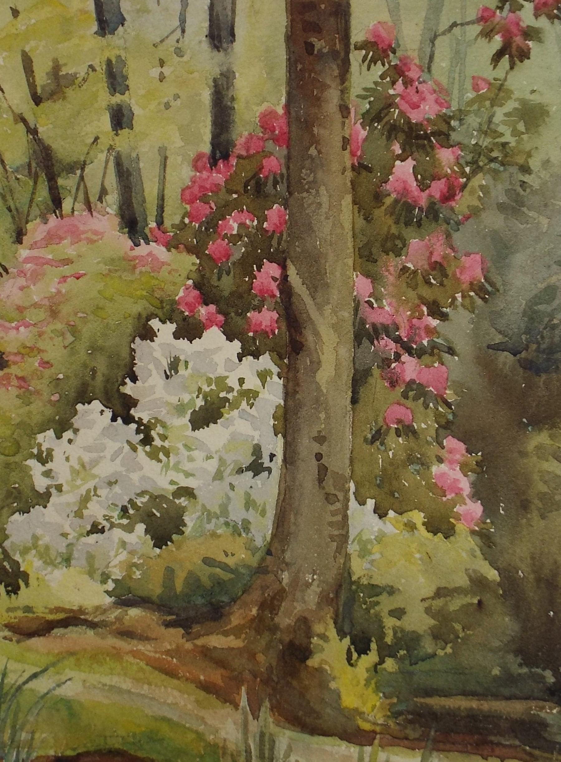 Original Watercolour, 'Woodland Garden', 1920's , unknown artist
