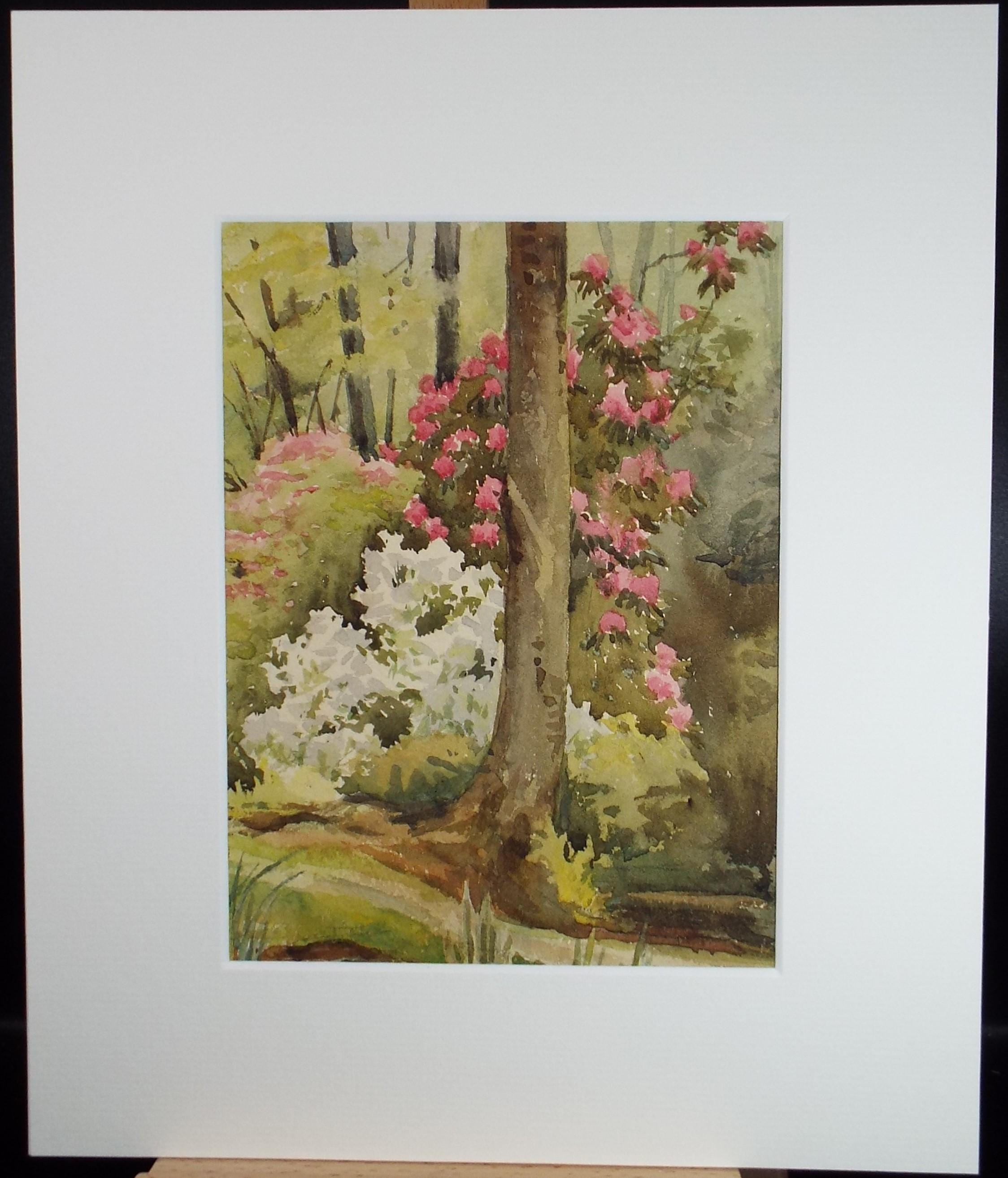 Original Watercolour, 'Woodland Garden', 1920's , unknown artist