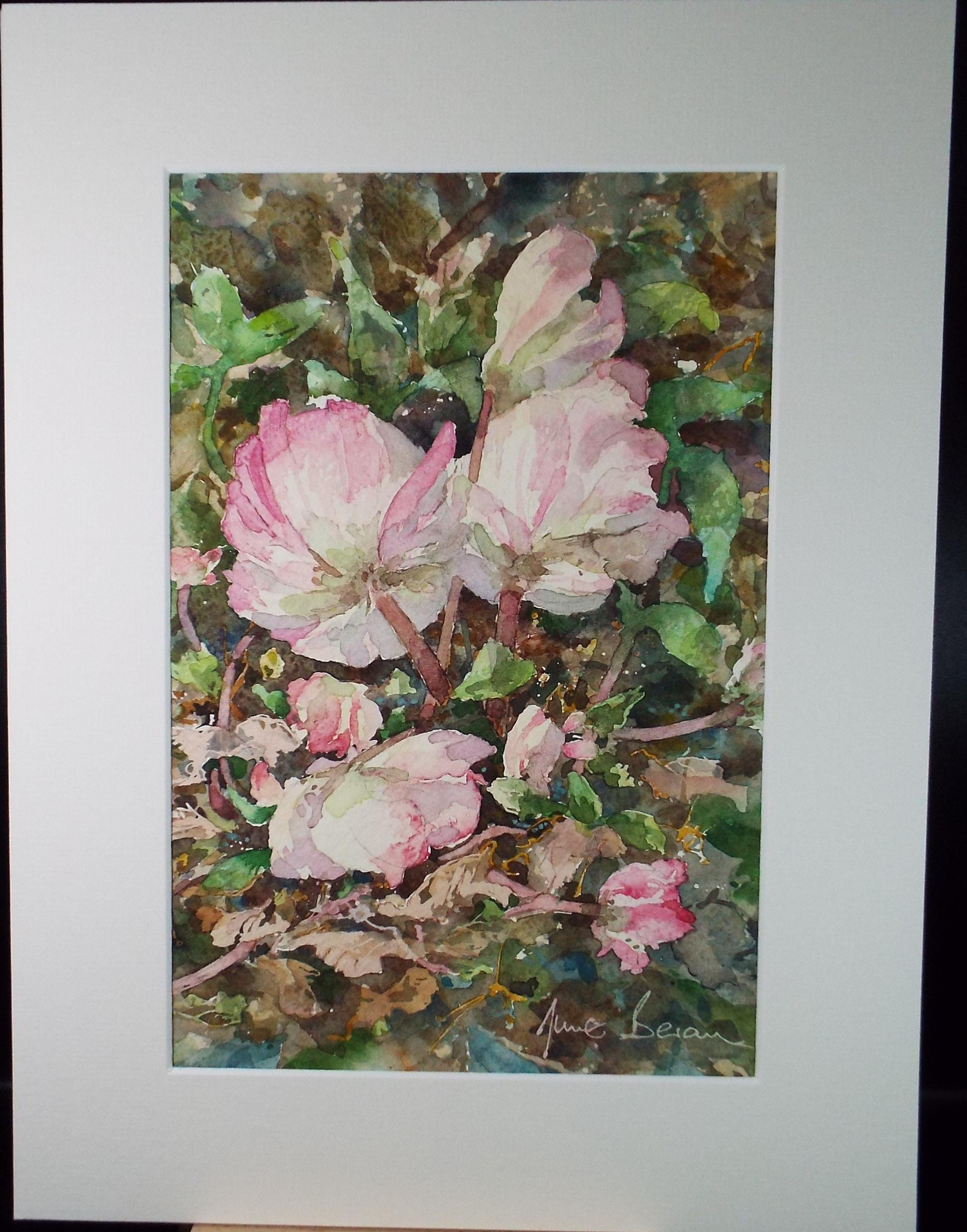 Original Watercolour, 'Flower study', June Bevan, Circa 1990's