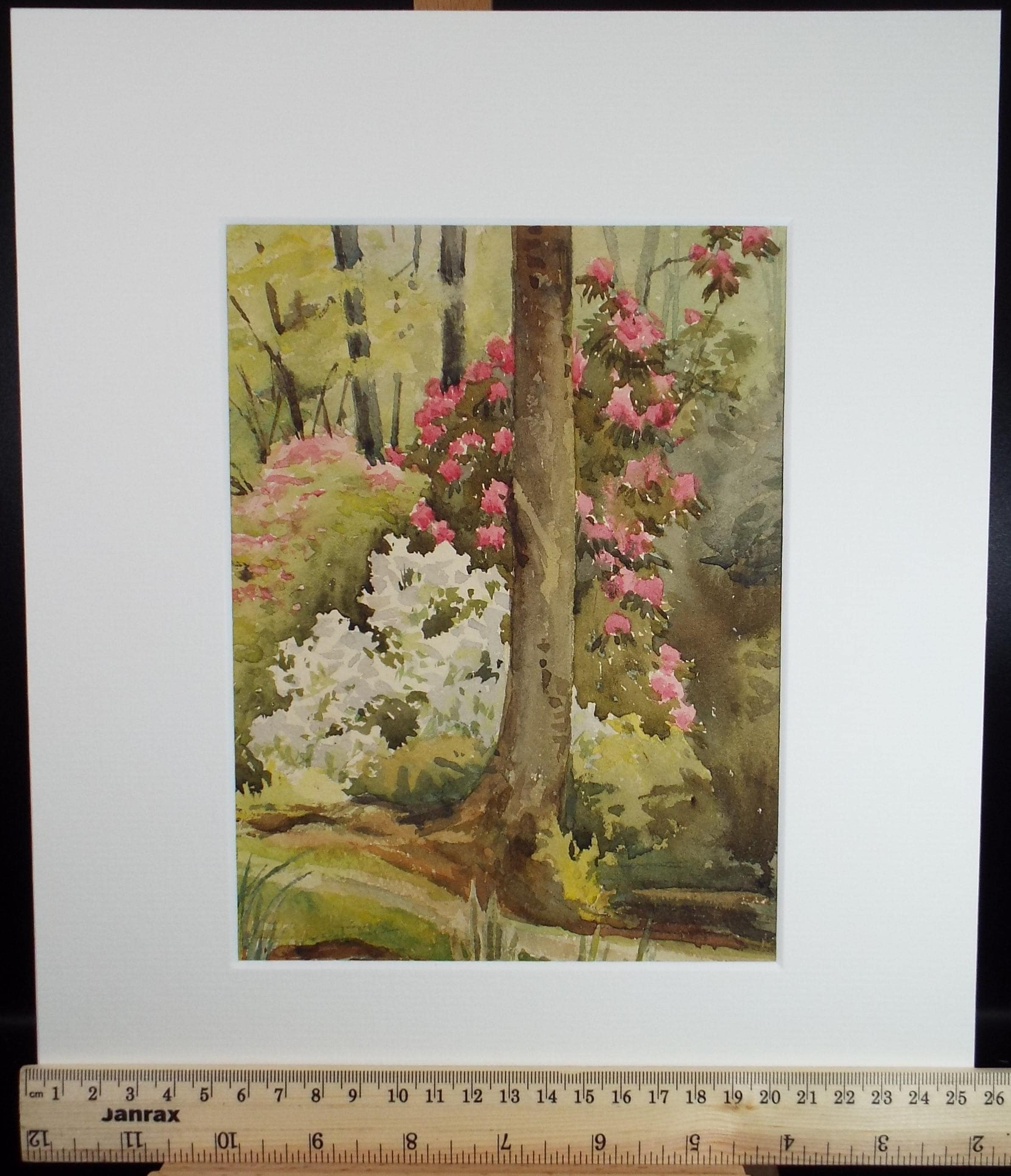 Original Watercolour, 'Woodland Garden', 1920's , unknown artist