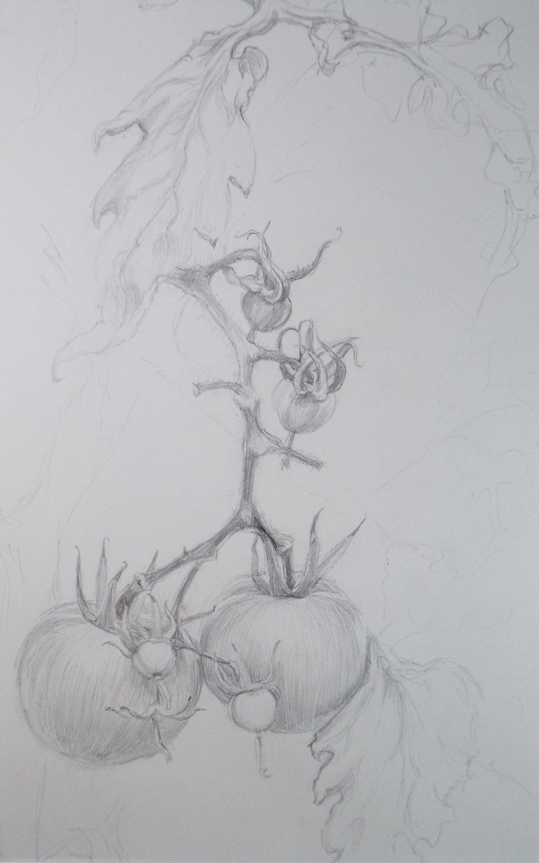 Original Pencil Drawing, 'End of the Season',Pauline Plummer (b1933), Circa 1990's