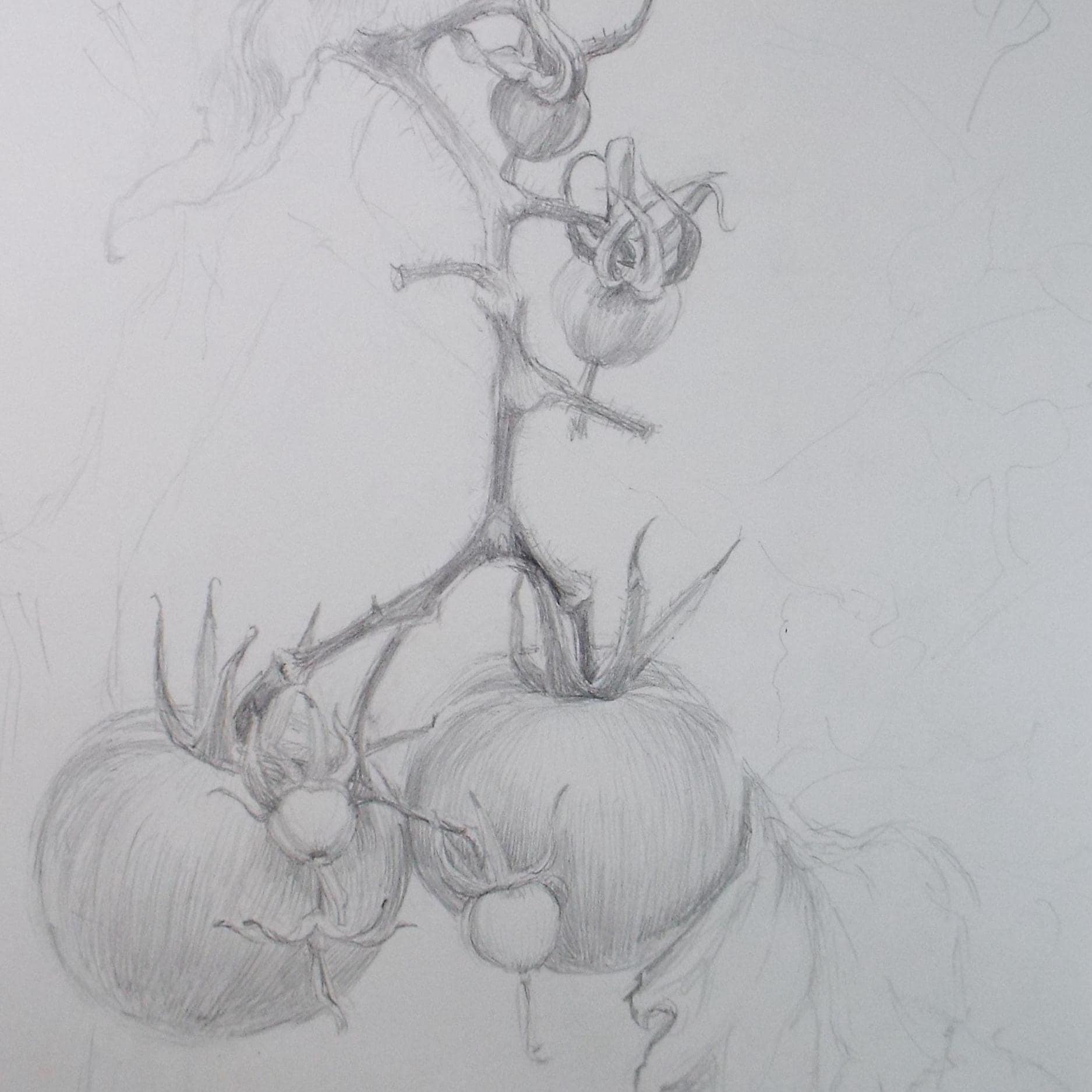 Original Pencil Drawing, 'End of the Season',Pauline Plummer (b1933), Circa 1990's