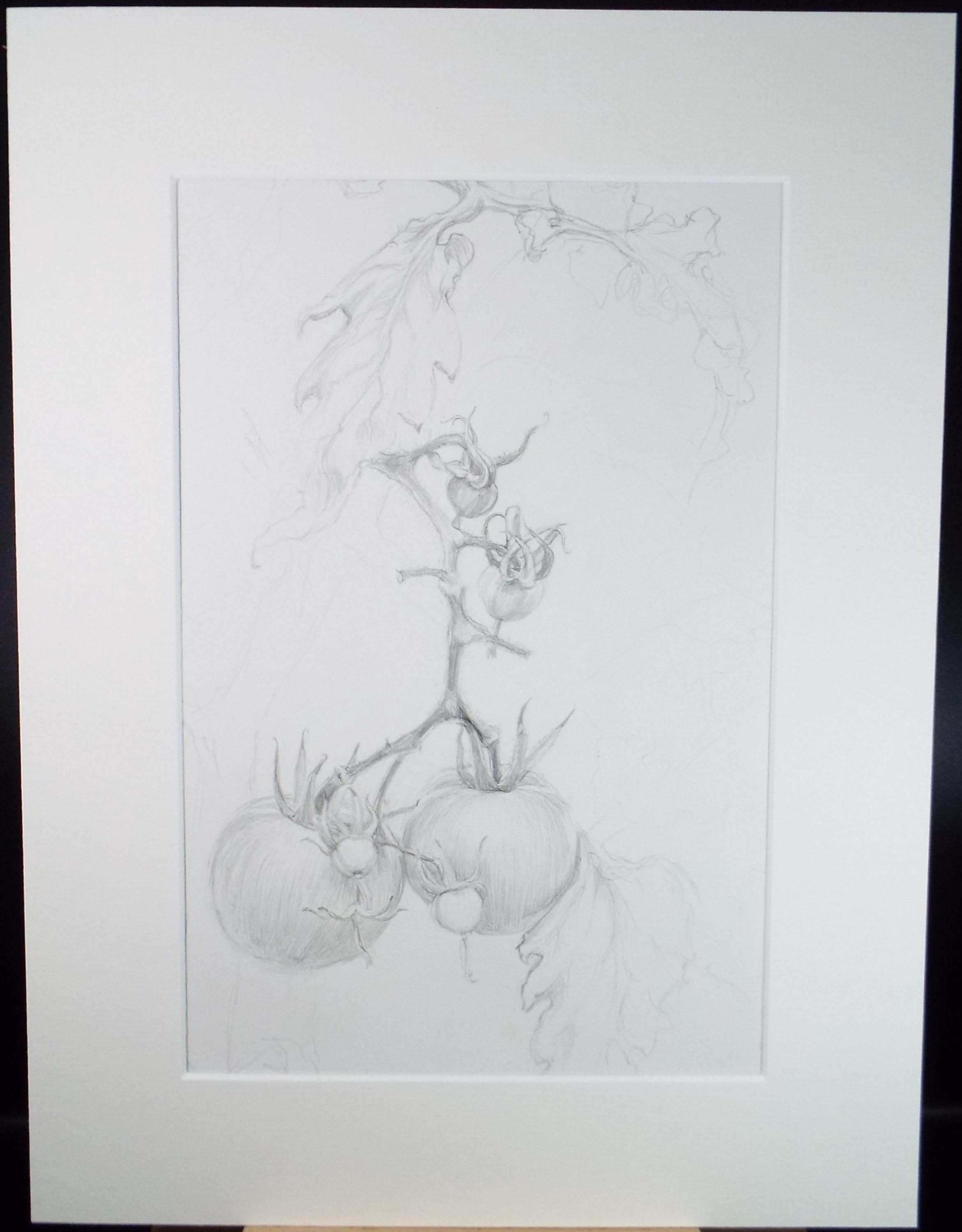Original Pencil Drawing, 'End of the Season',Pauline Plummer (b1933), Circa 1990's