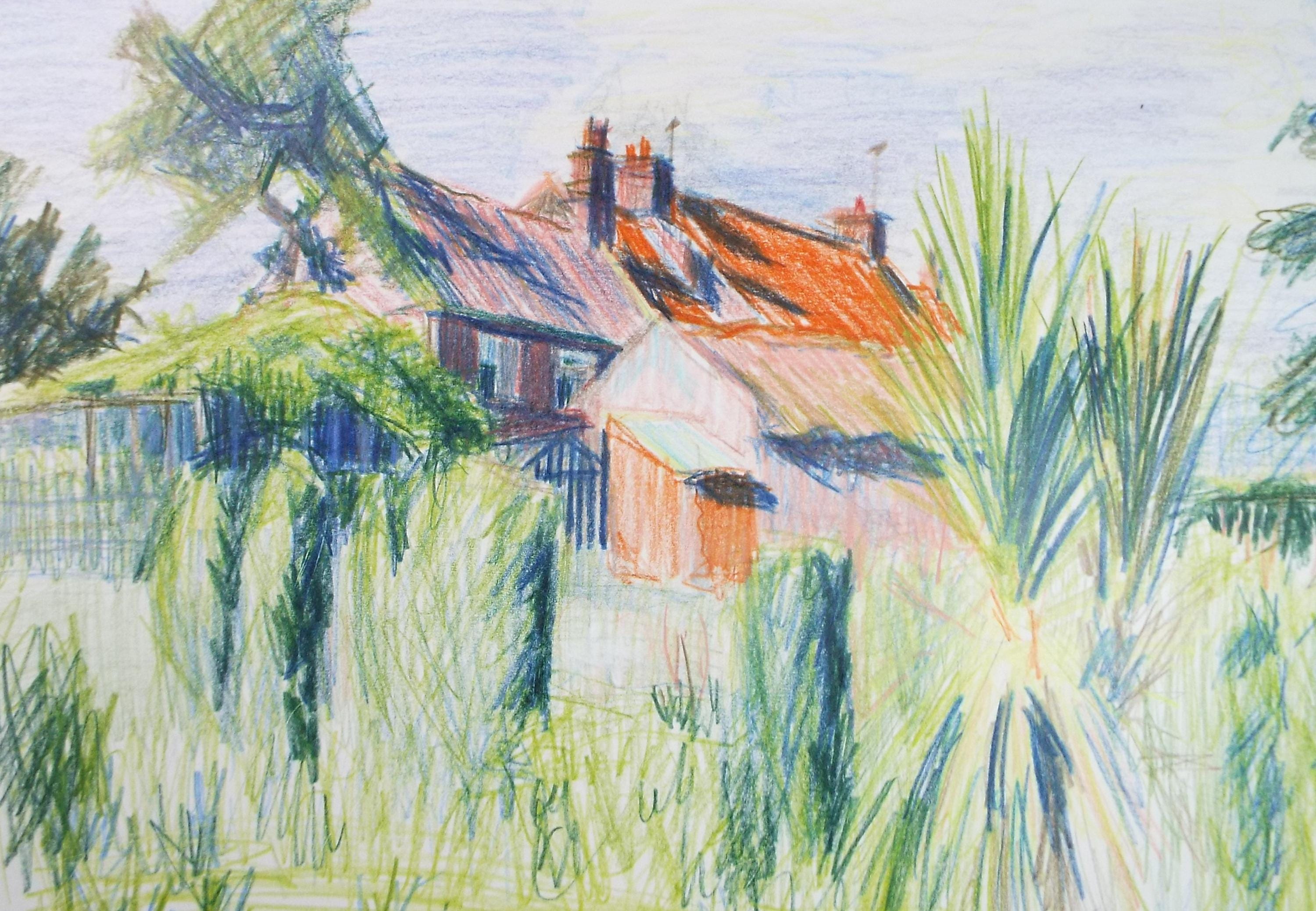 Coloured Pencil drawing 'Cottage Garden with Cordyline', Pauline Plummer (b1933), Circa 1990's