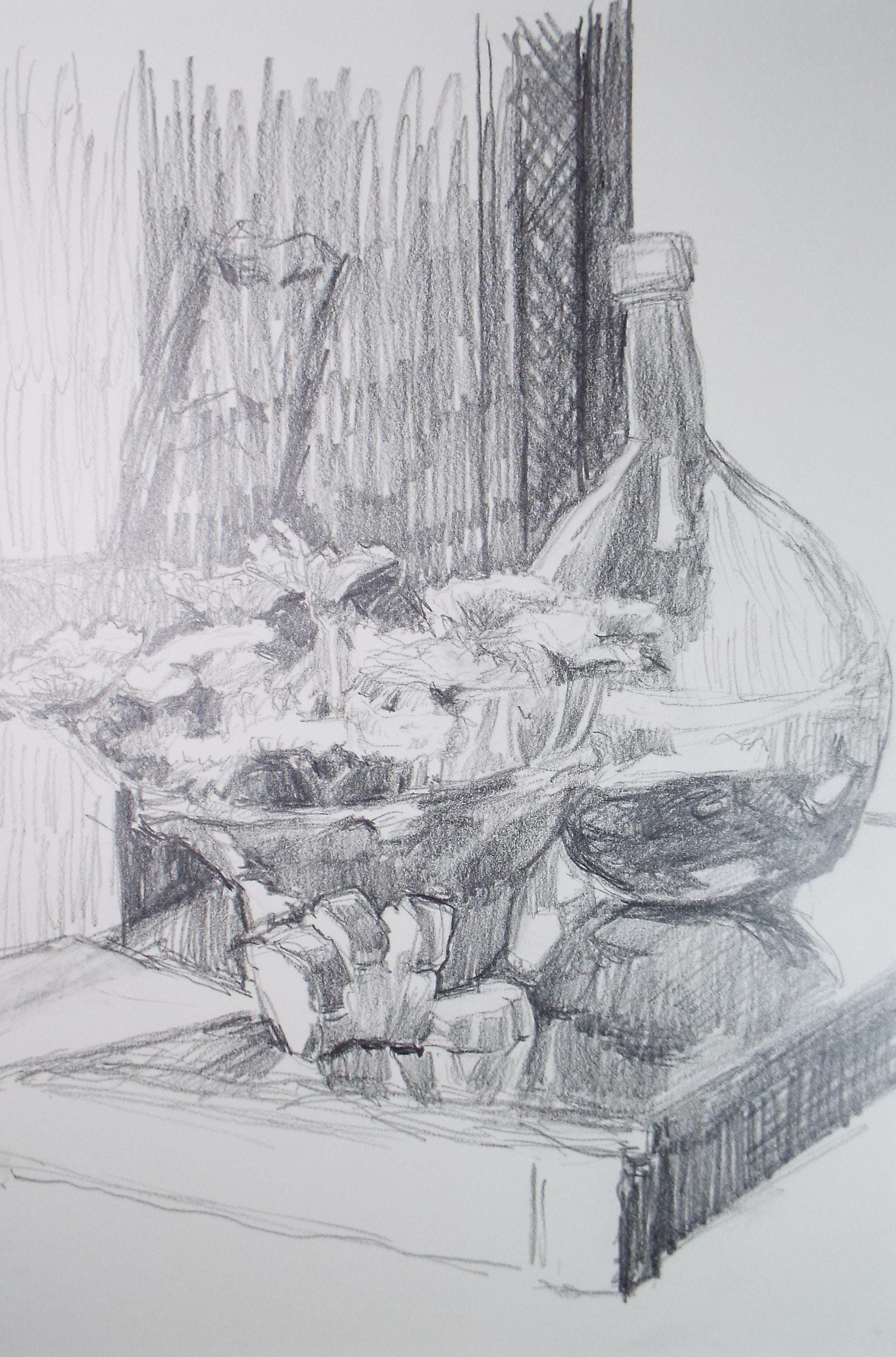 Pencil Still Life Drawing: Bowl and Jug, Pauline Plummer (Circa 1990s)