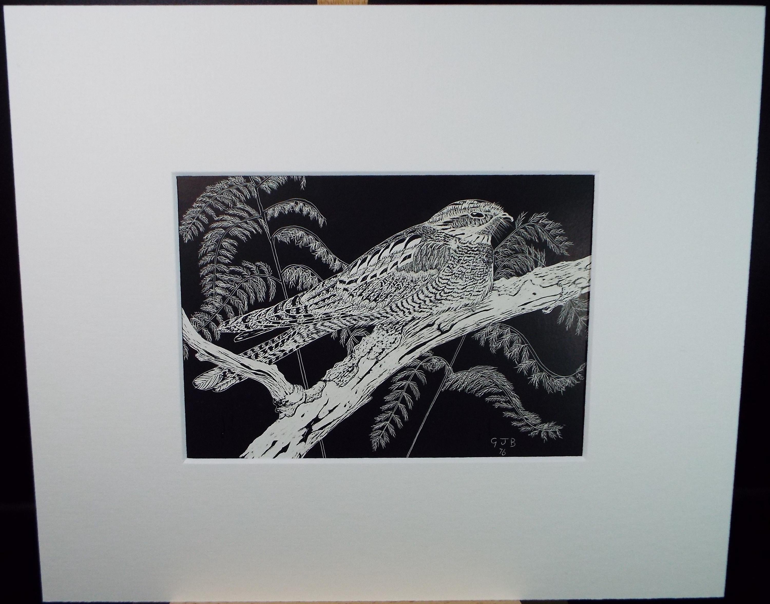 Original Scraperboard drawing, 'Song Thrush', Initialled GJB, dated 1976