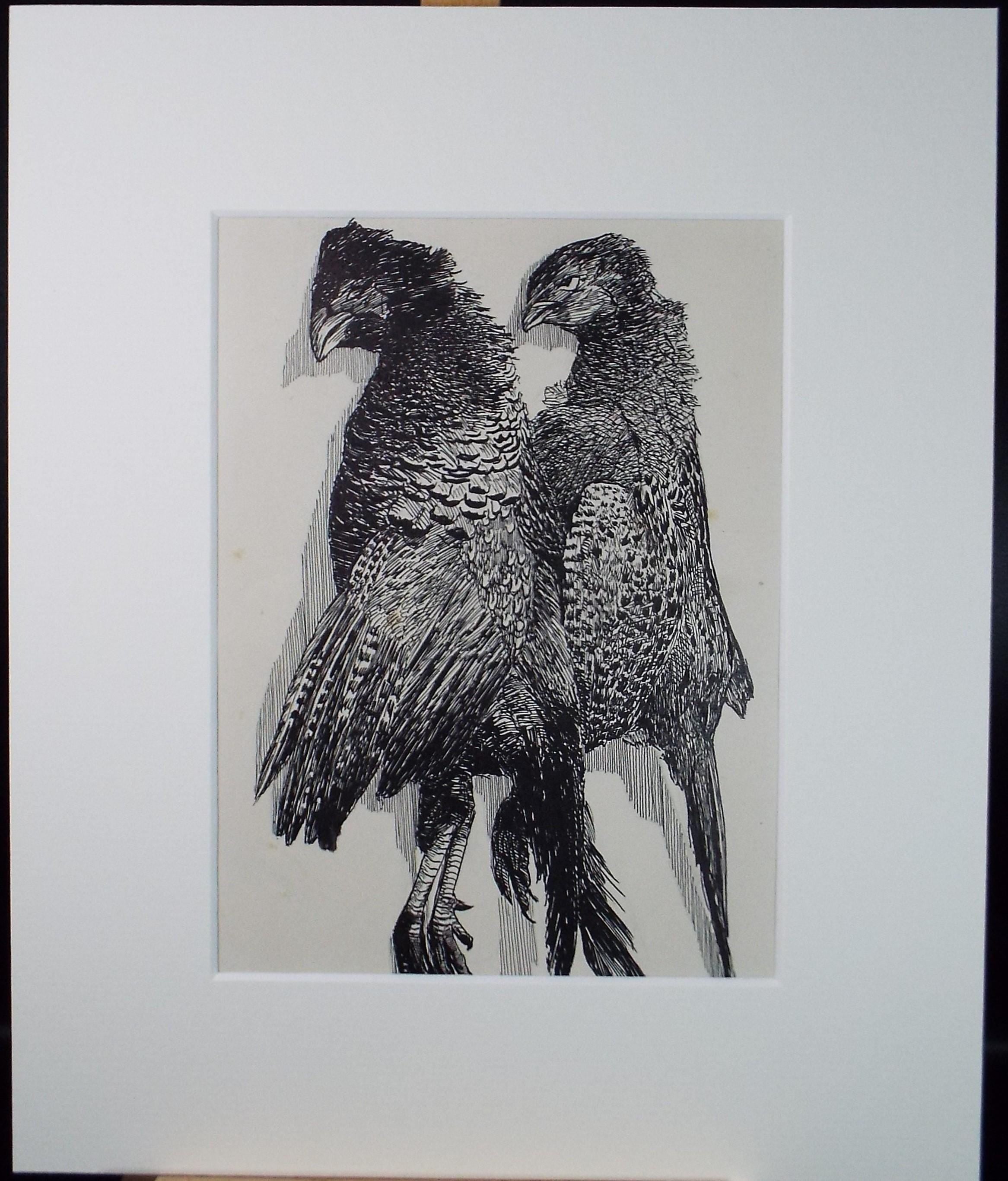 Original Pen & ink Sketch, 'Brace of Pheasants', S A Southern, Dated 1909