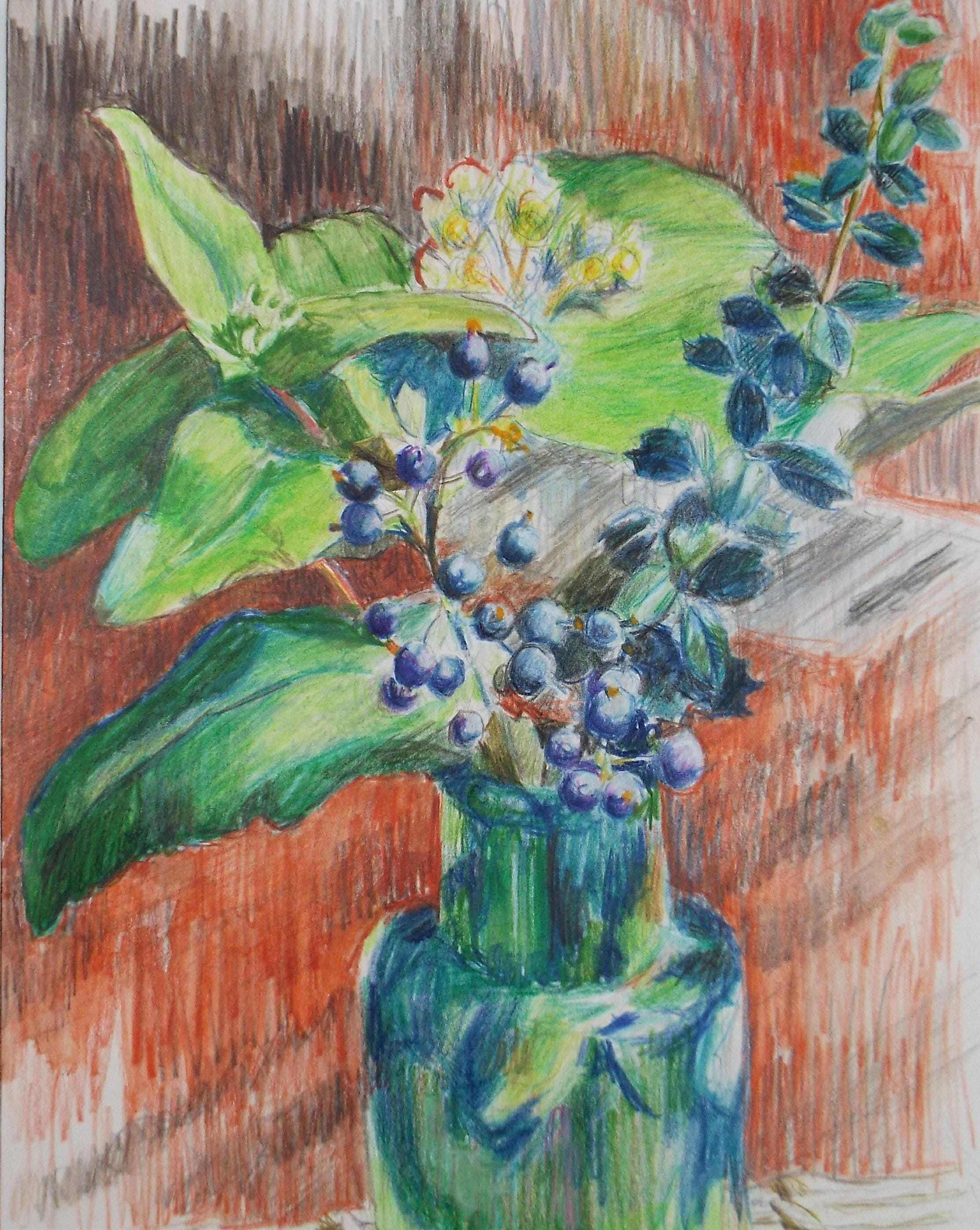 Original Pencil Drawing 'Pelargoniums' by Pauline Plummer (b1933)