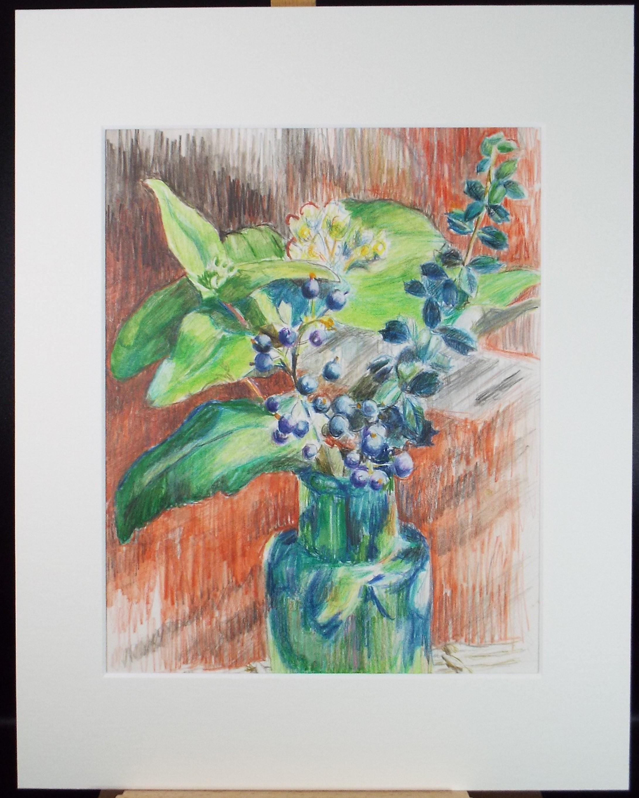 Original Pencil Drawing 'Pelargoniums' by Pauline Plummer (b1933)