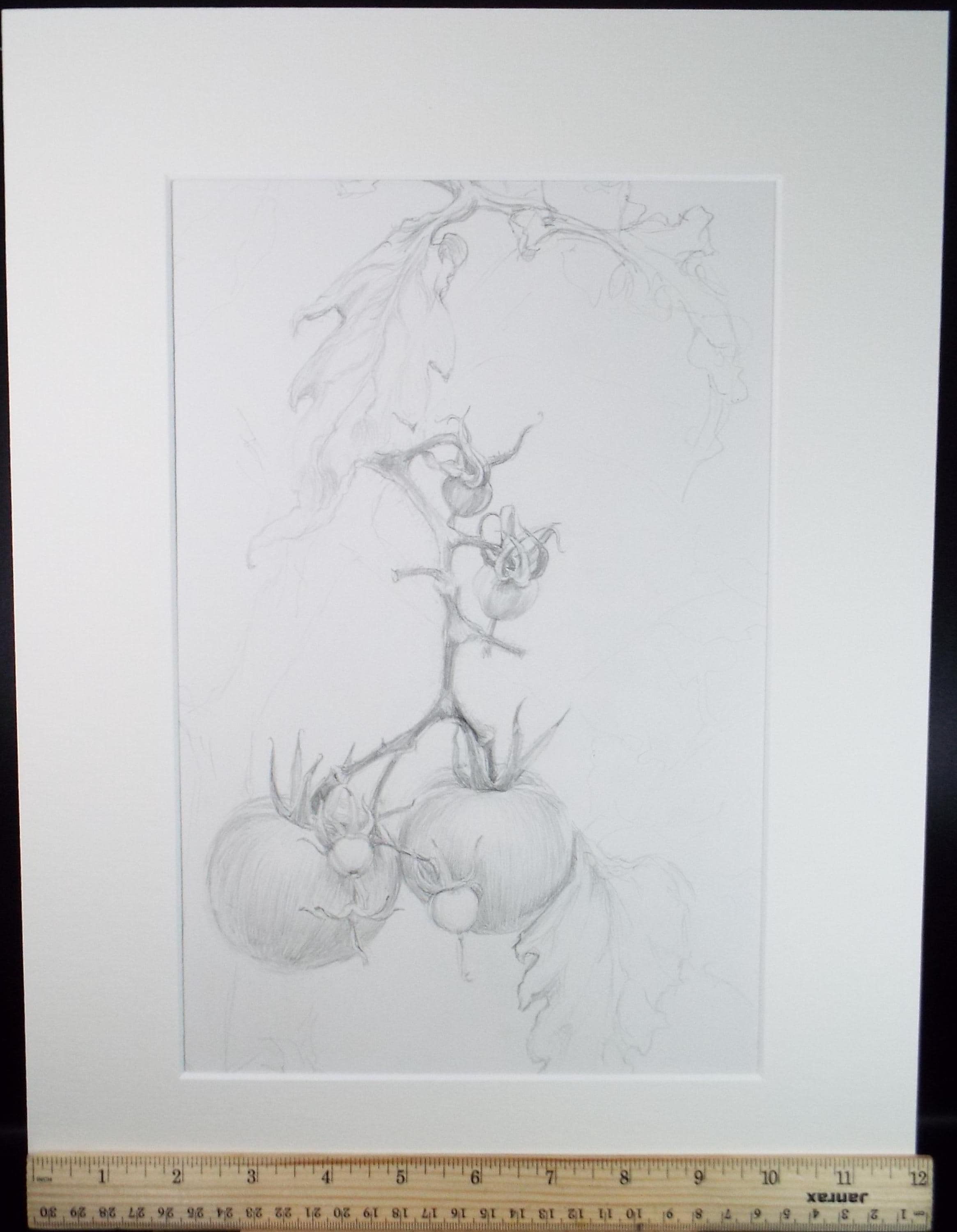 Original Pencil Drawing, 'End of the Season',Pauline Plummer (b1933), Circa 1990's