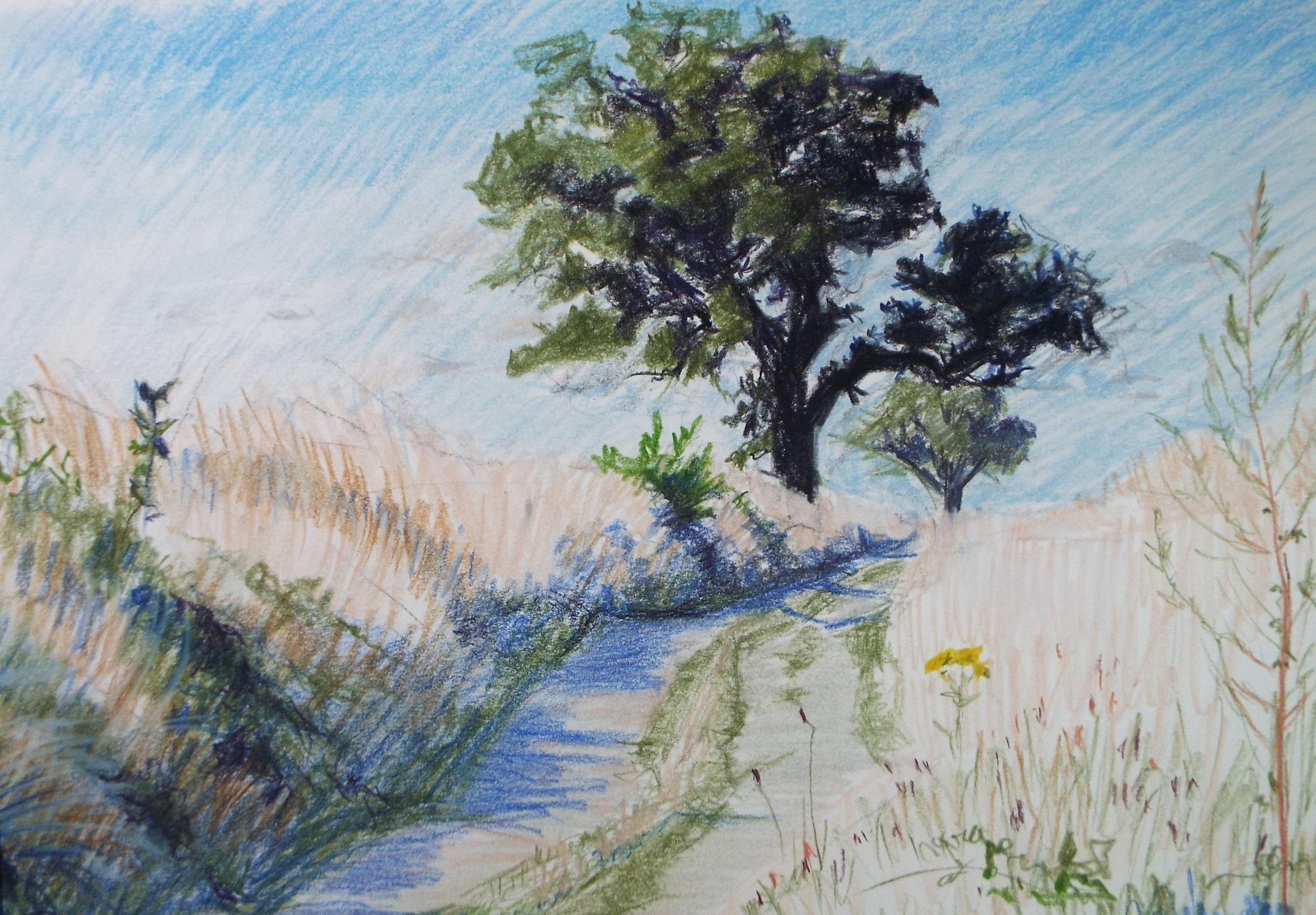 Coloured Pencil drawing 'A Country Lane', Pauline Plummer (b1933), Circa 1990's