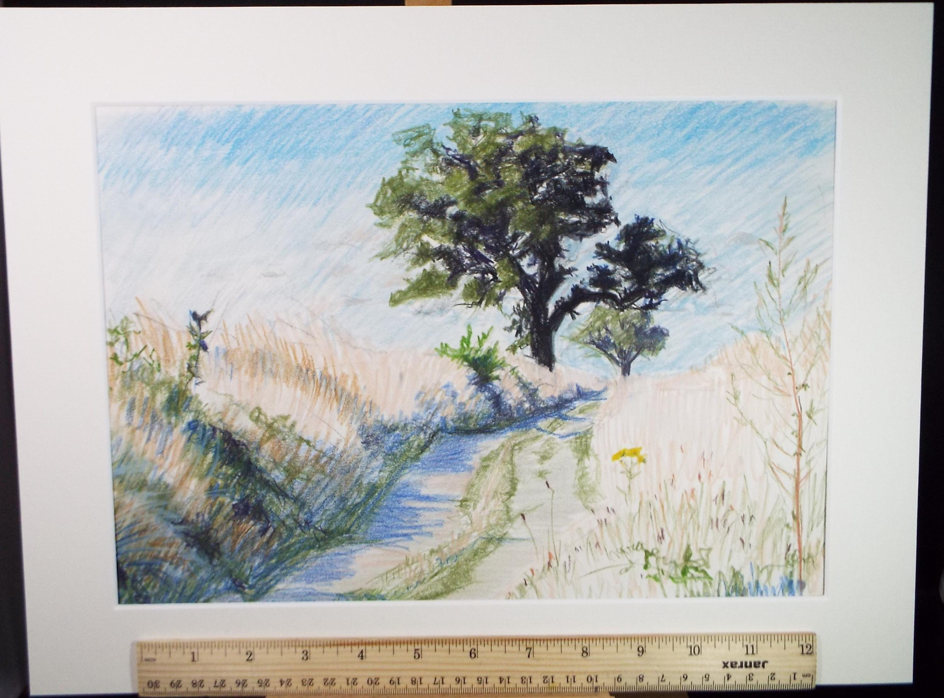 Coloured Pencil drawing 'A Country Lane', Pauline Plummer (b1933), Circa 1990's
