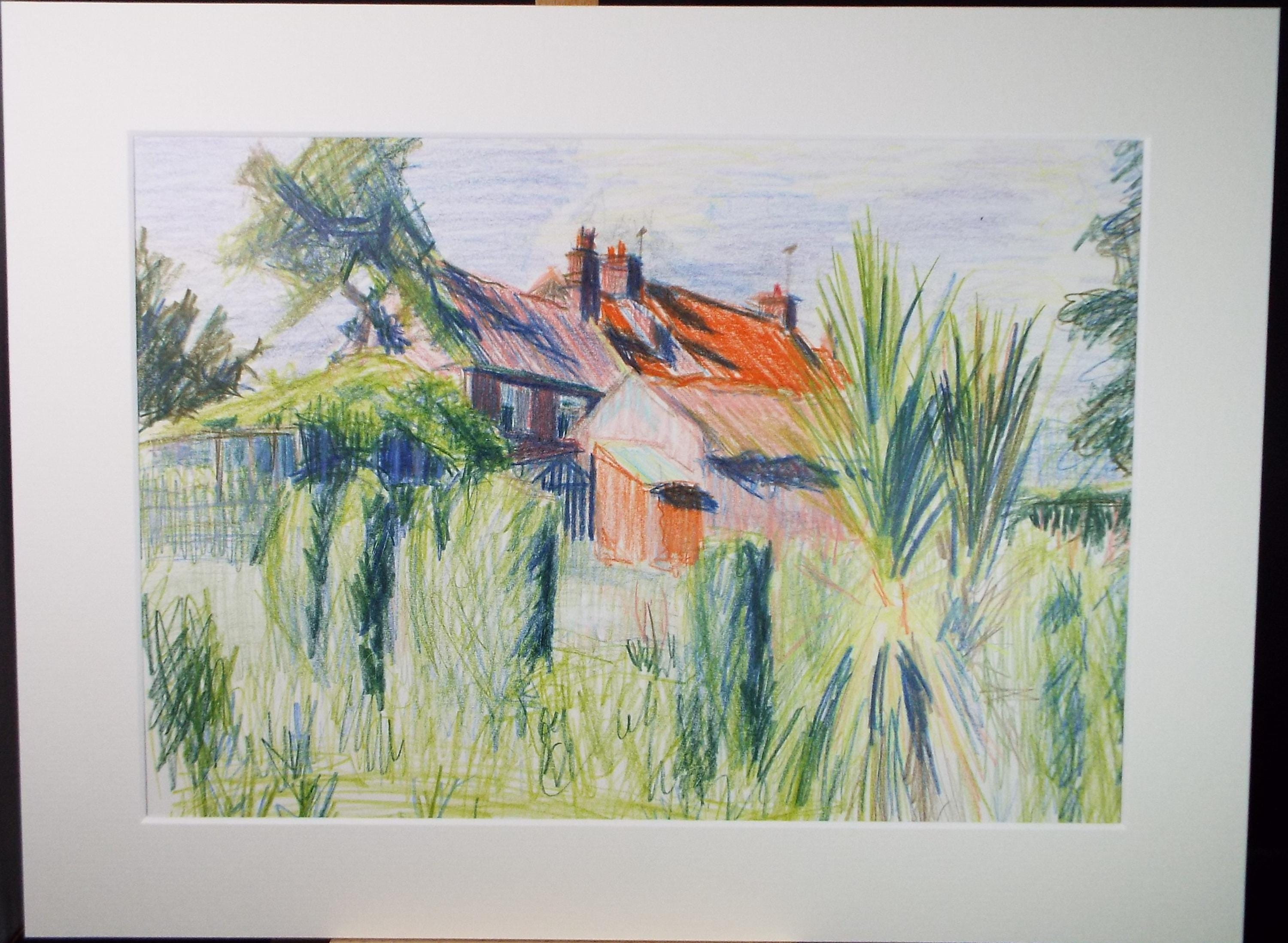 Coloured Pencil drawing 'Cottage Garden with Cordyline', Pauline Plummer (b1933), Circa 1990's