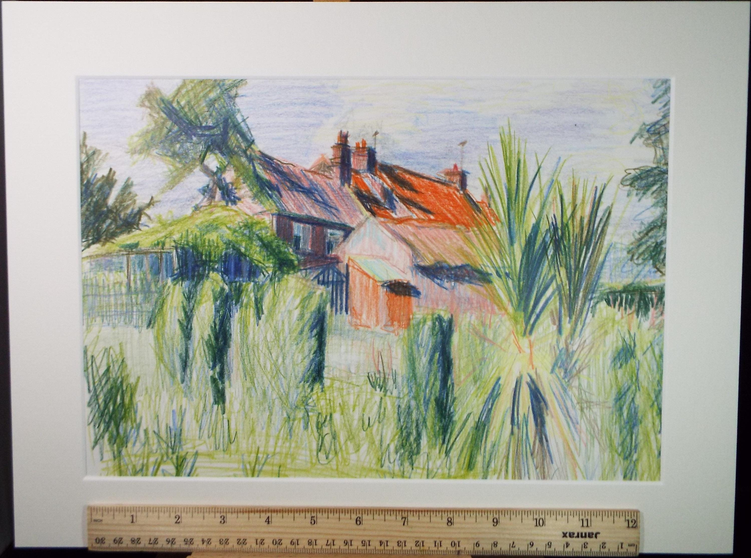 Coloured Pencil drawing 'Cottage Garden with Cordyline', Pauline Plummer (b1933), Circa 1990's