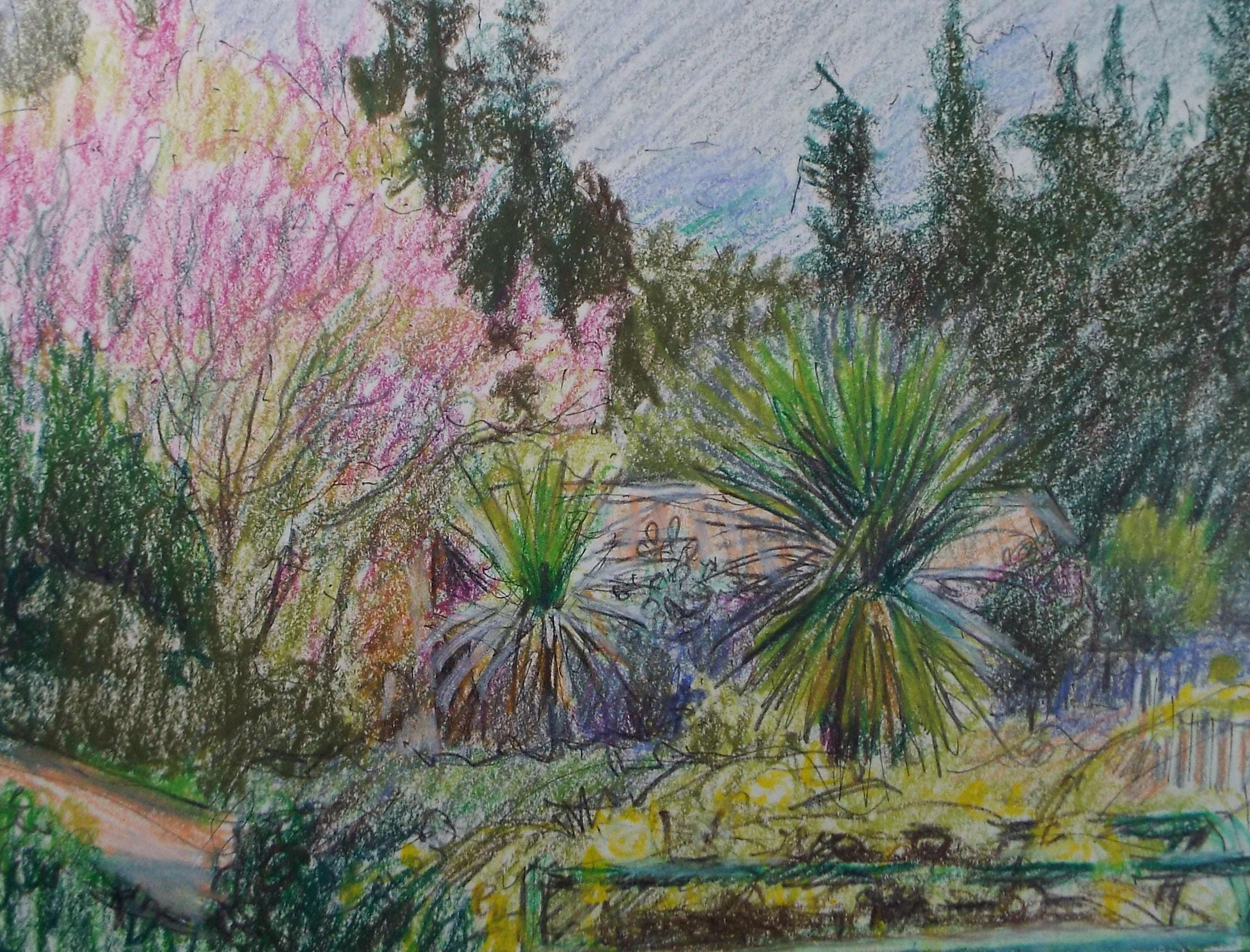 Coloured Pencil drawing 'Cottage Garden with Cordyline', Pauline Plummer (b1933), Circa 1990's