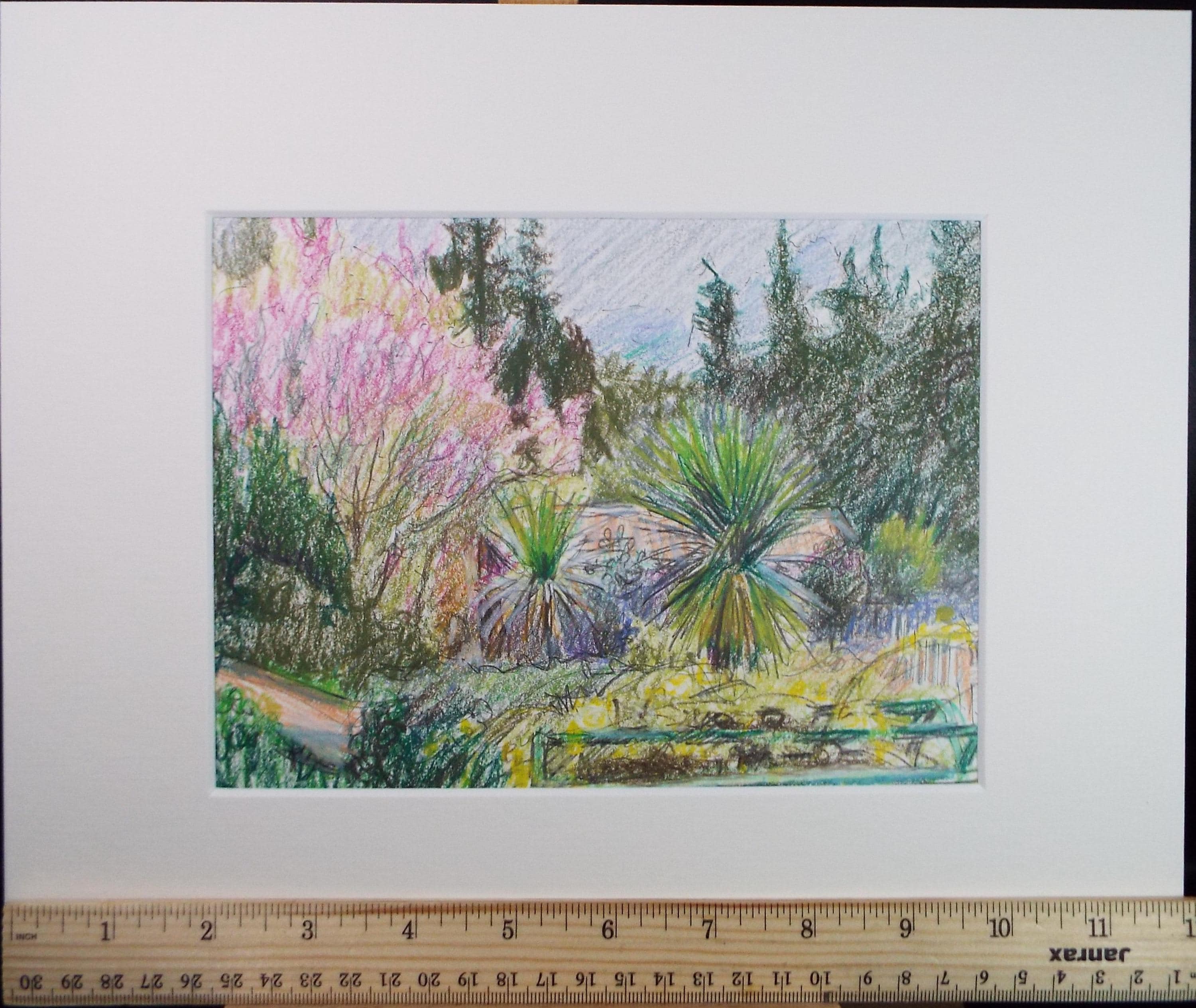 Coloured Pencil drawing 'Cottage Garden with Cordyline', Pauline Plummer (b1933), Circa 1990's