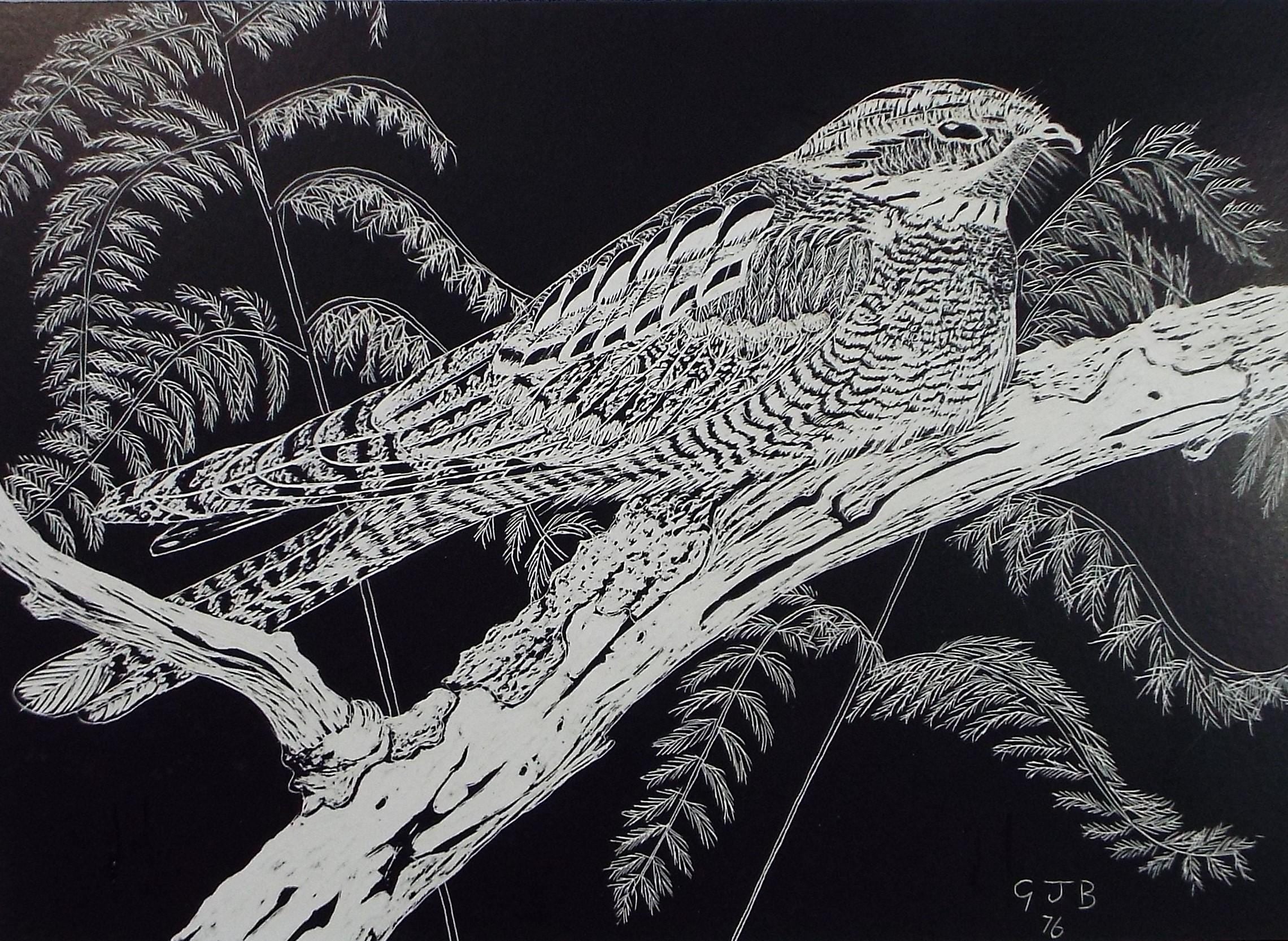 Original Scraperboard drawing, 'Song Thrush', Initialled GJB, dated 1976