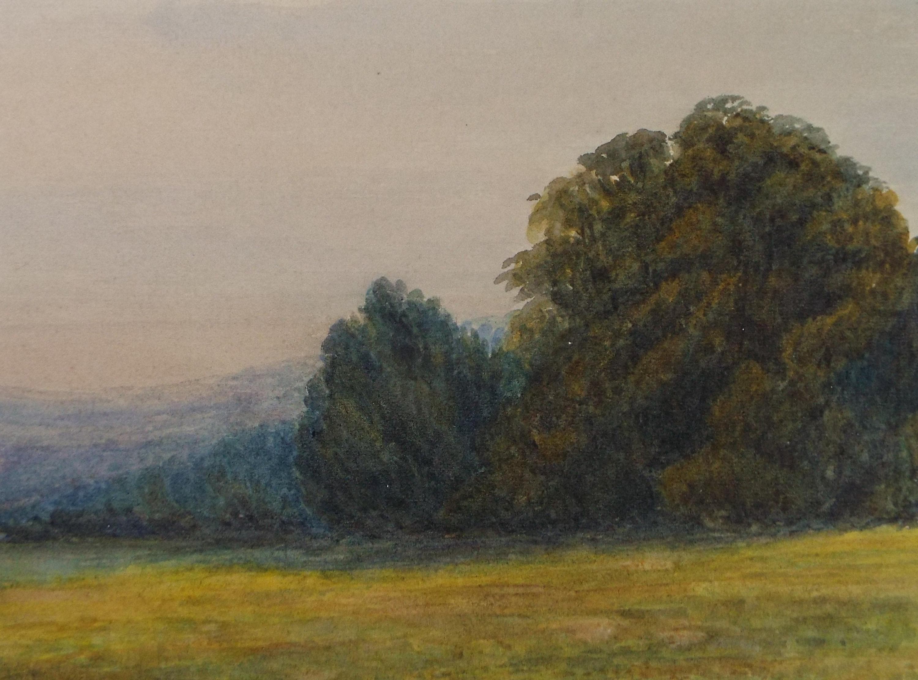 Original Watercolour, 'Hedgerow' Circa 1880's, unsigned