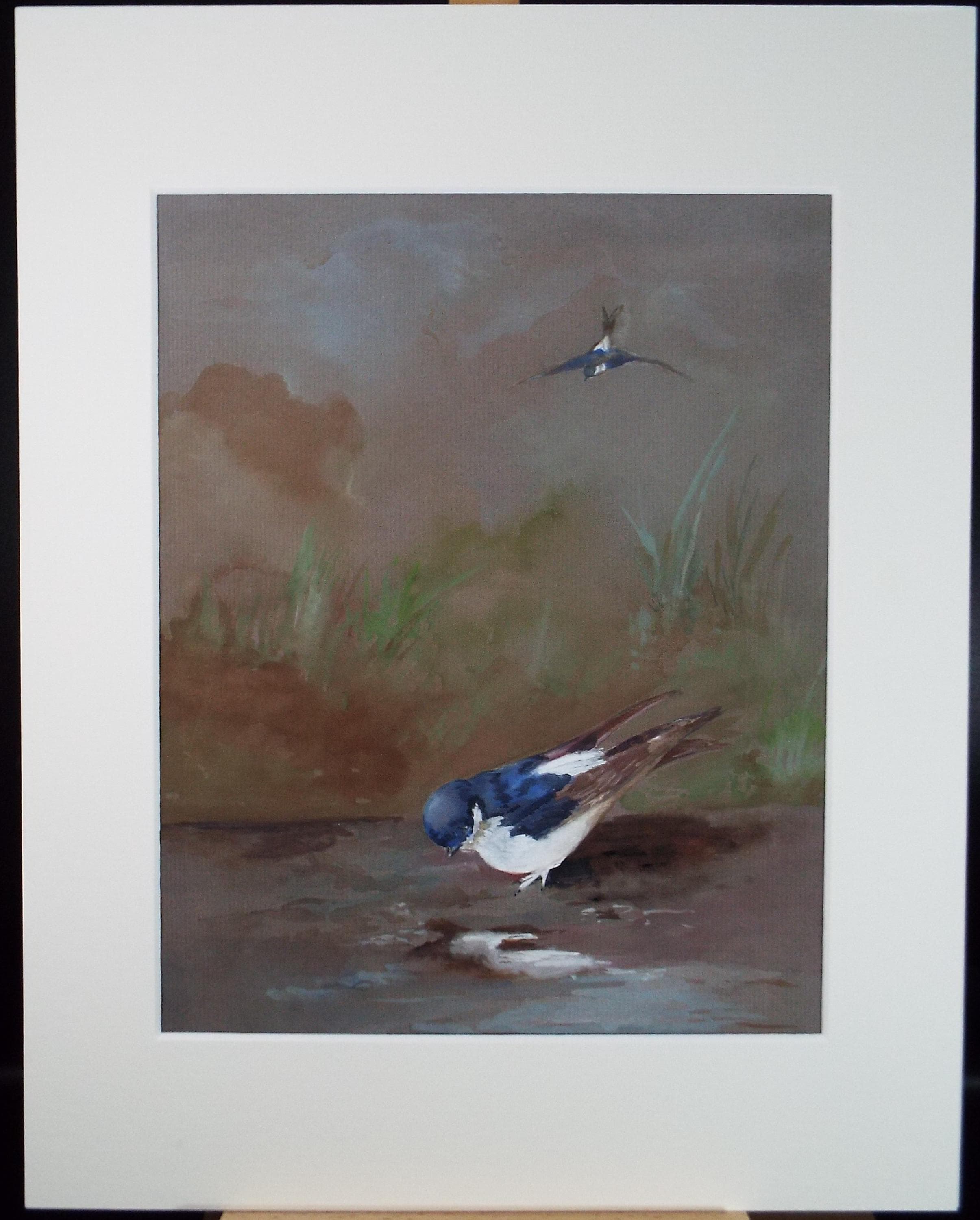 Original Watercolour, 'Tree Swallow', Mid 20th Century, Unknown Artist