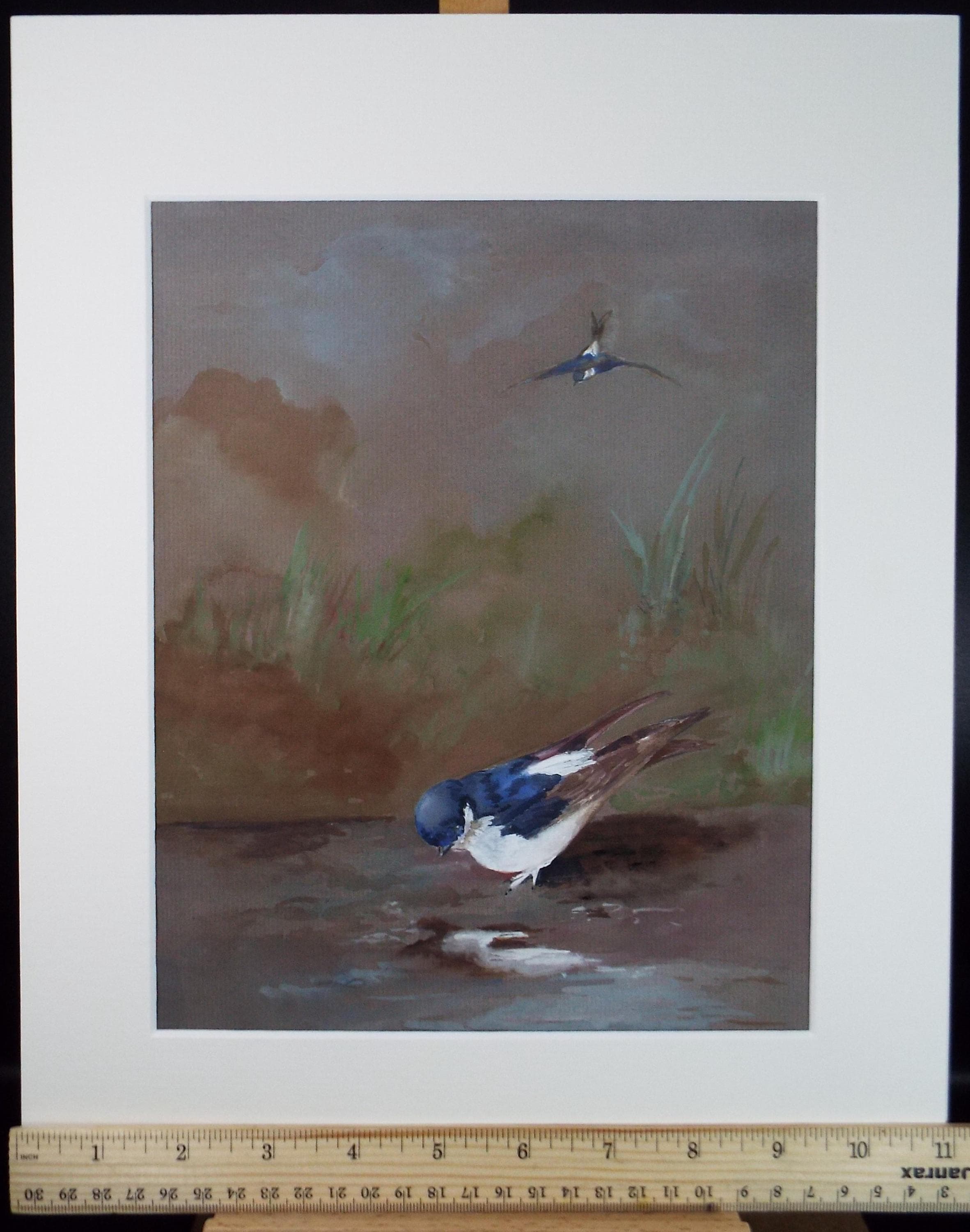 Original Watercolour, 'Tree Swallow', Mid 20th Century, Unknown Artist