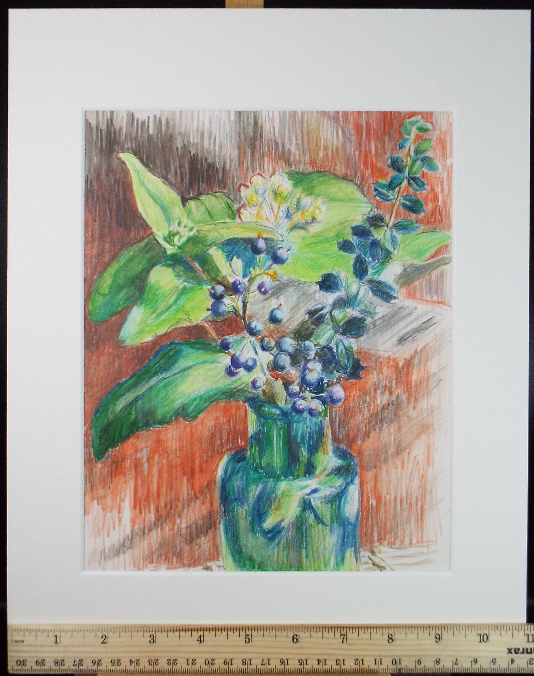 Original Pencil Drawing 'Pelargoniums' by Pauline Plummer (b1933)