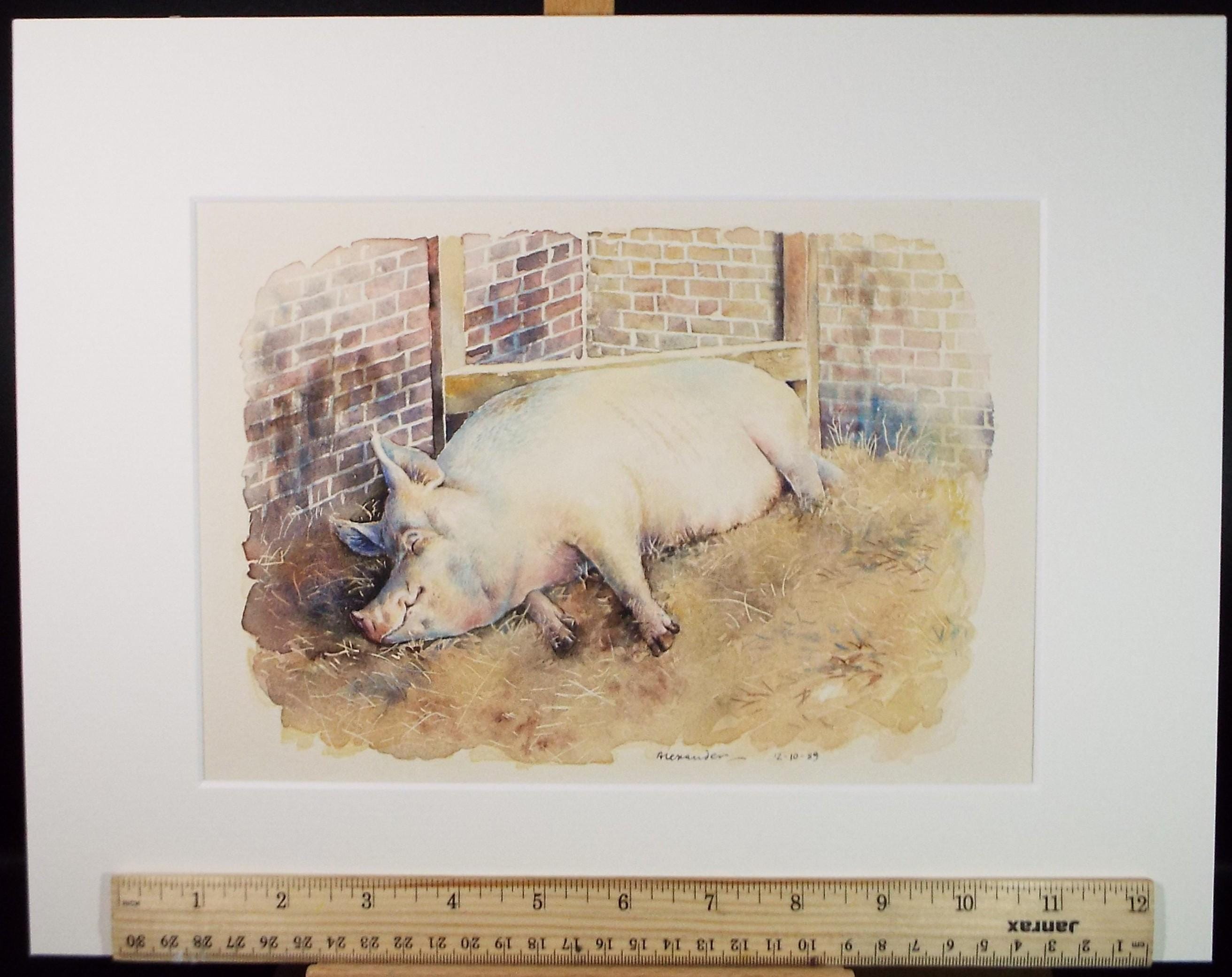 Original Watercolour ,'Sleeping Sow', Signed Alexander, Dated 1989