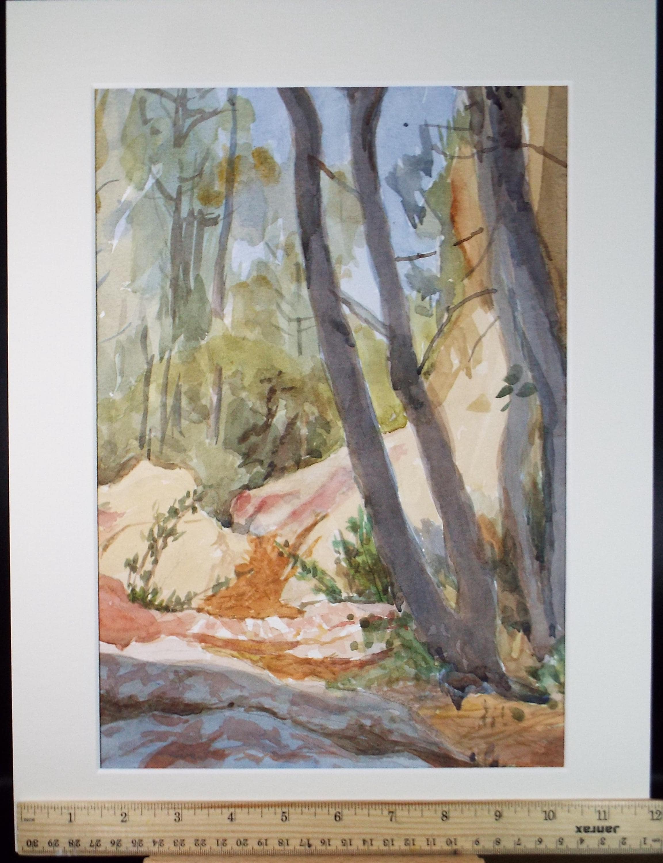 Original Watercolour, 'Woodland Outcrop', Circa 1990's ,Pauline Plummer (b1933)