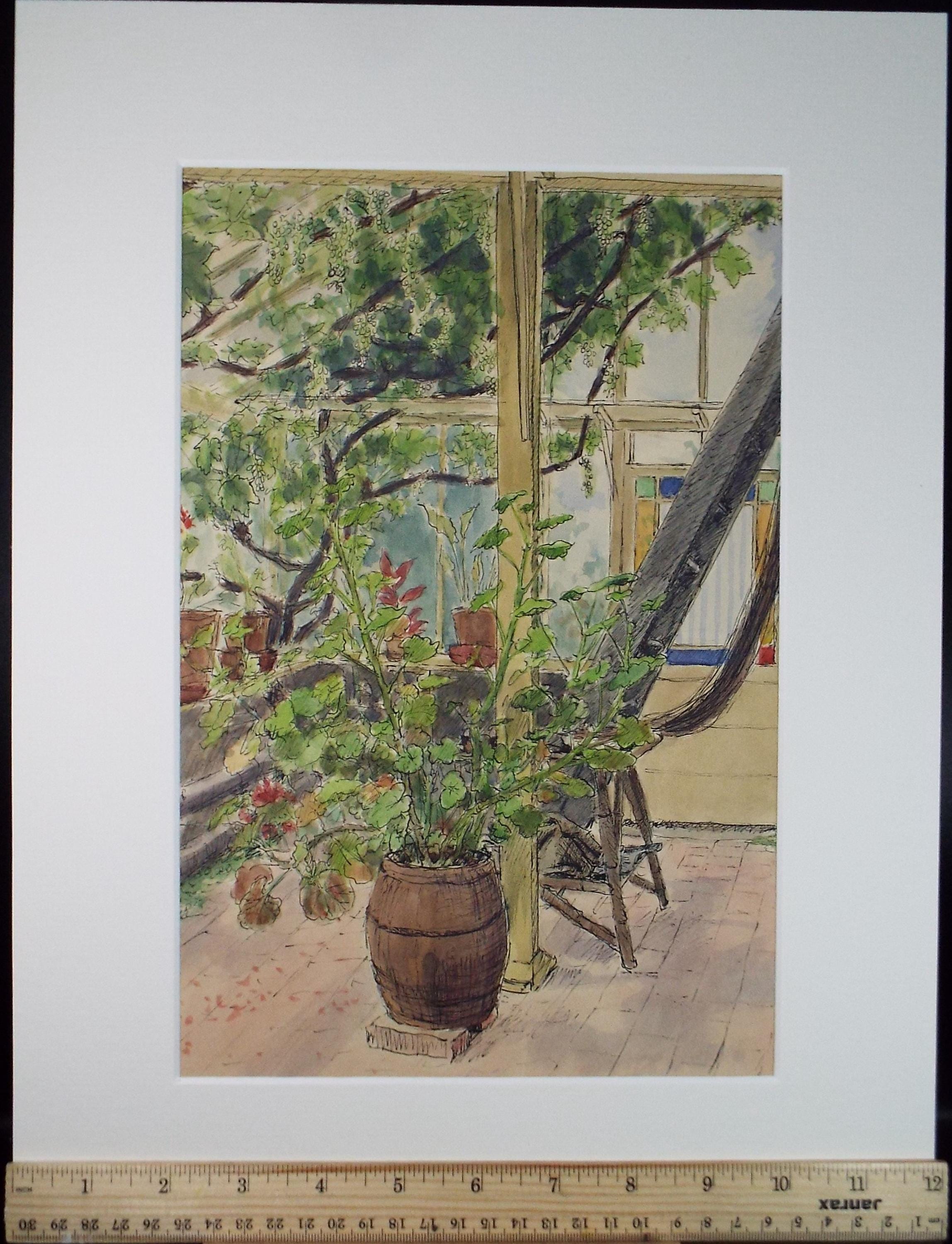 Watercolour and Ink, 'In the Conservatory',Pauline Plummer (b1933), circa 1950's