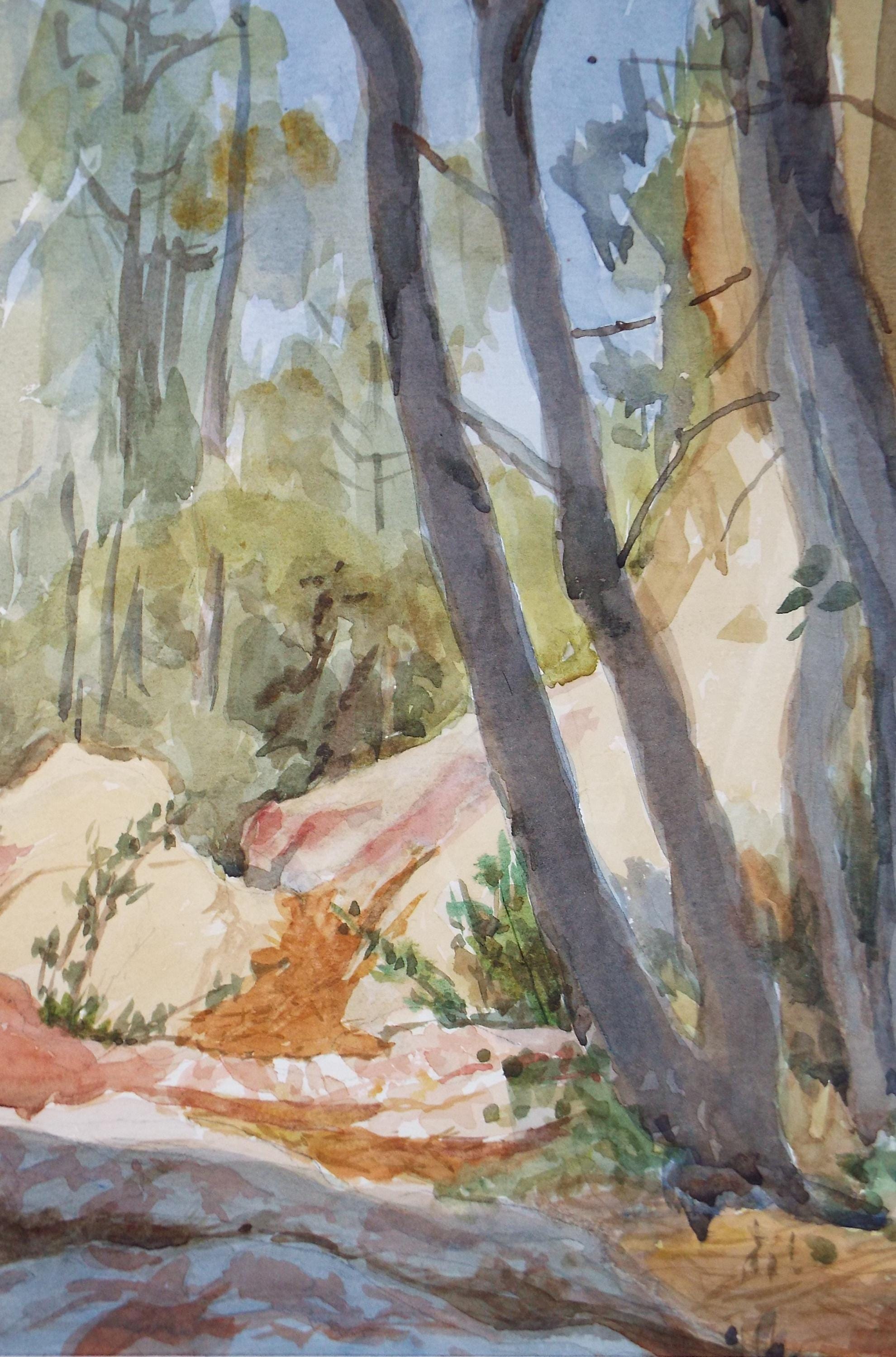 Original Watercolour, 'Woodland Outcrop', Circa 1990's ,Pauline Plummer (b1933)