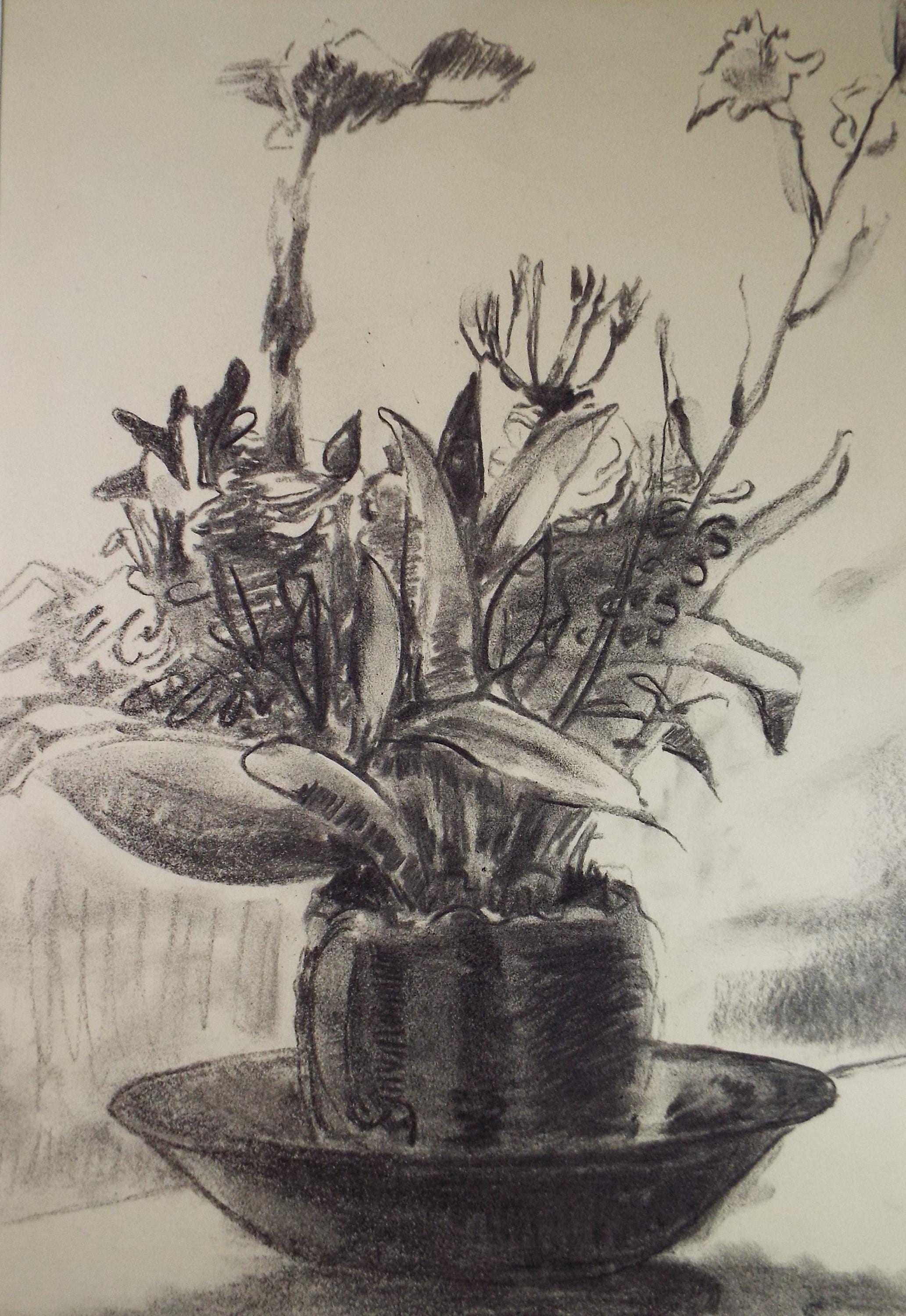 Original conte pastel, 'Potted Plant', Circa 1970's, Artist unknown