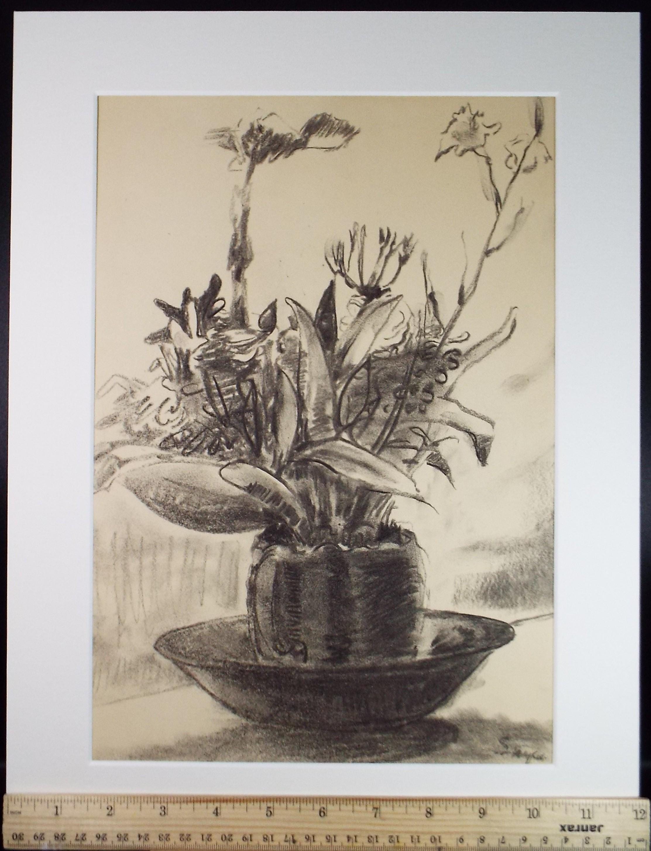 Original conte pastel, 'Potted Plant', Circa 1970's, Artist unknown