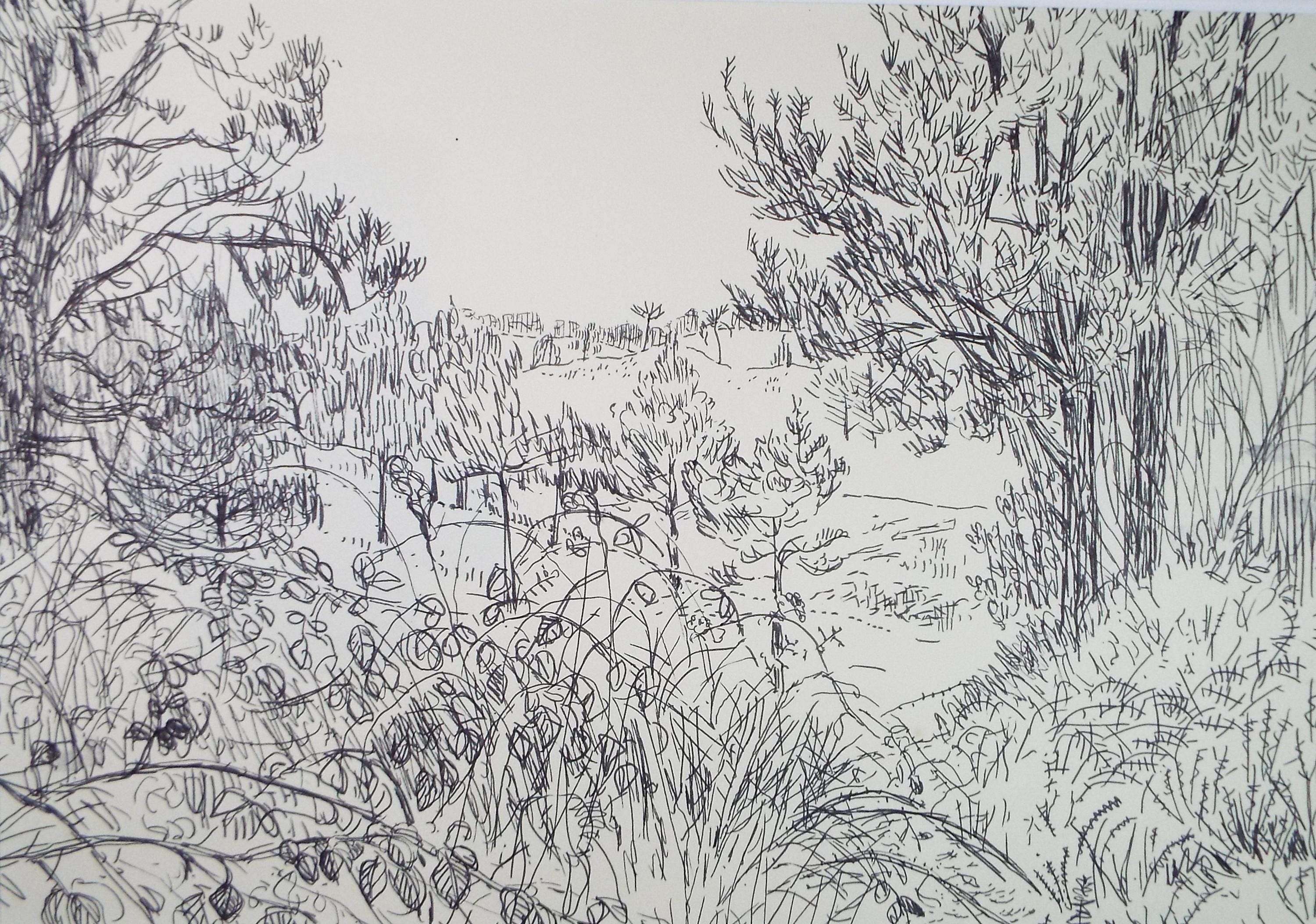 Original Pen & Ink , 'Woodbury Common', Initialled G.R.J, Dated 1965