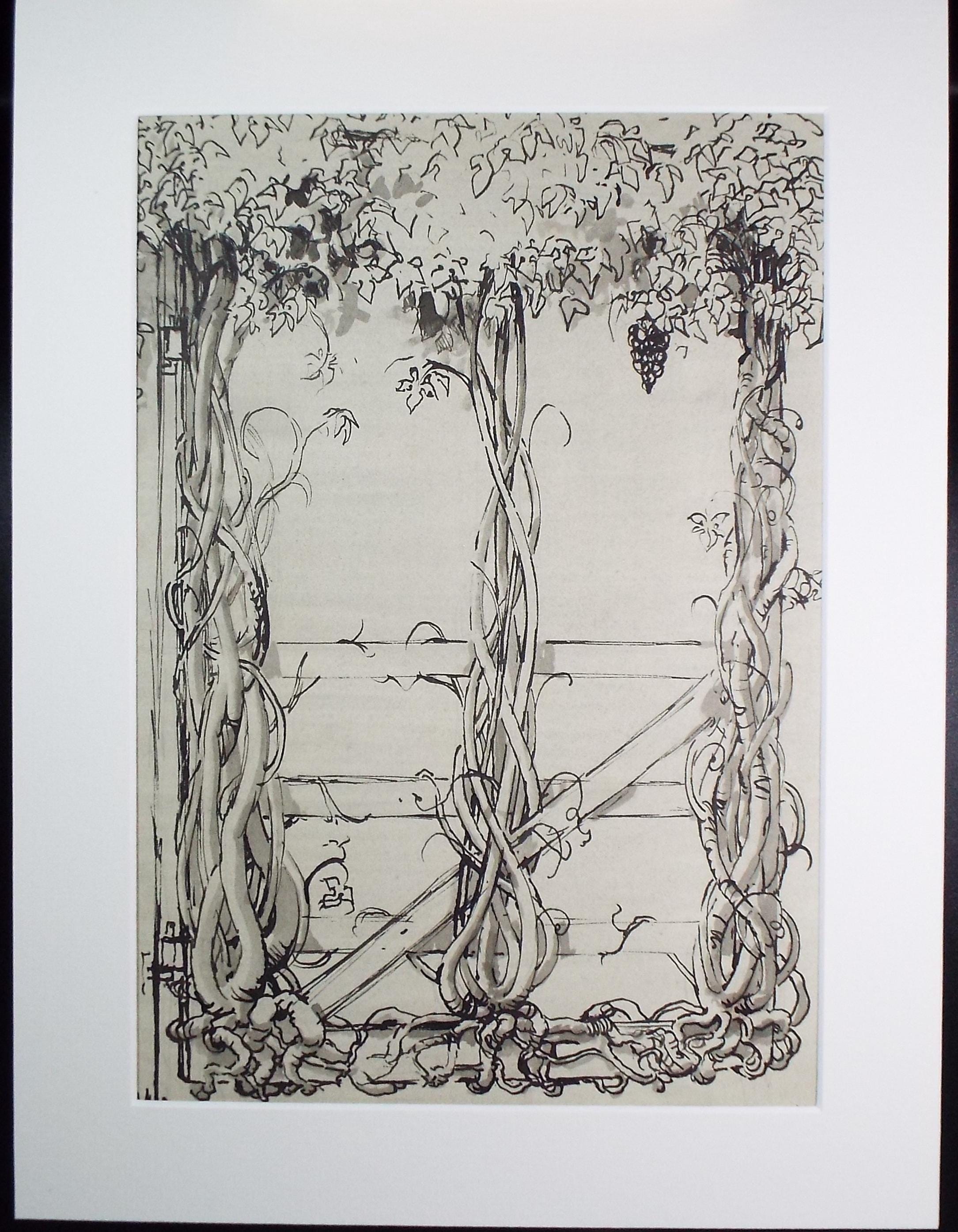 Original Pen & ink drawing, 'Winding Grape Vines', Dated 1959, Artist Unknown