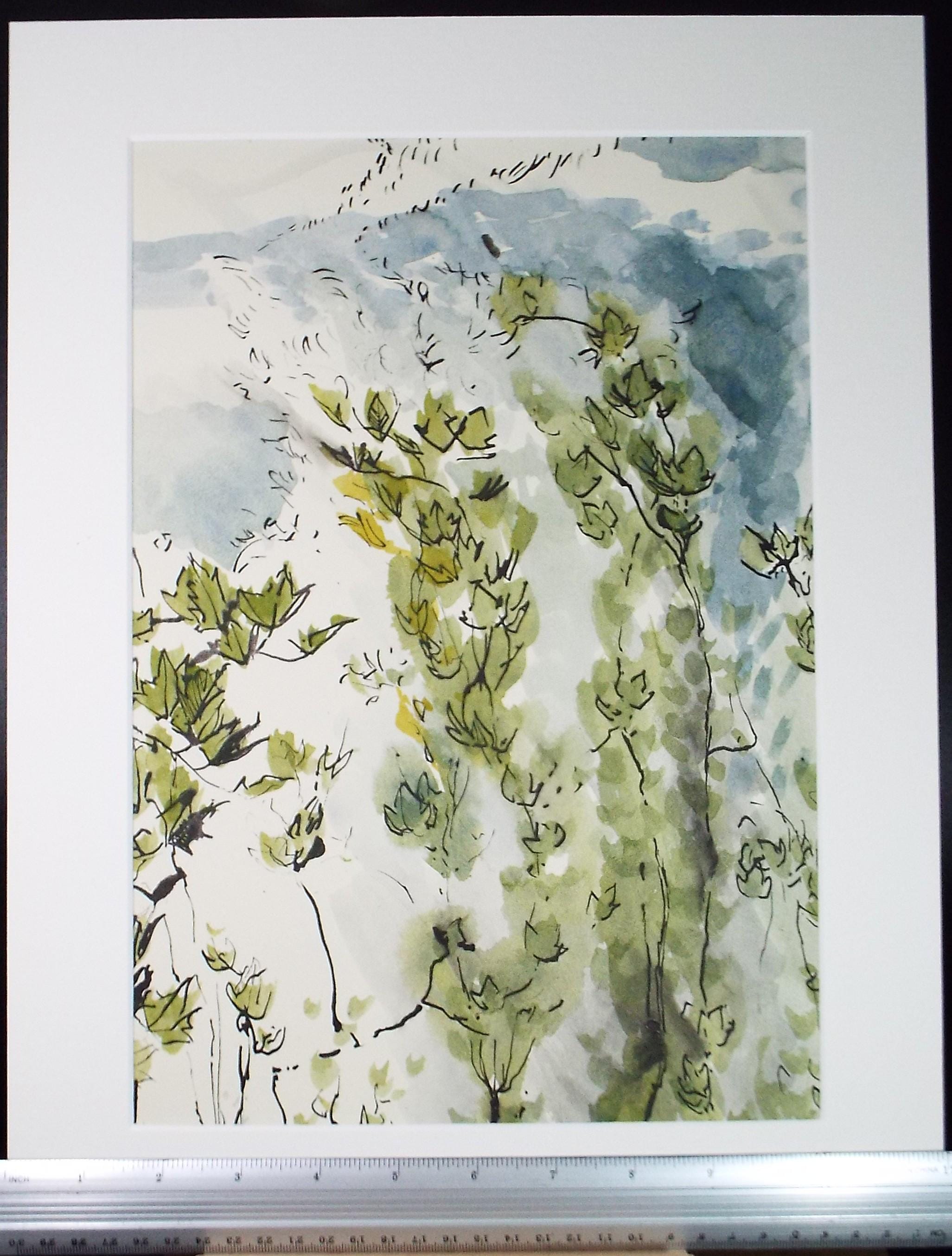 Original Watercolour, 'Study of Foliage', Unknown Artist, Circa 1970's