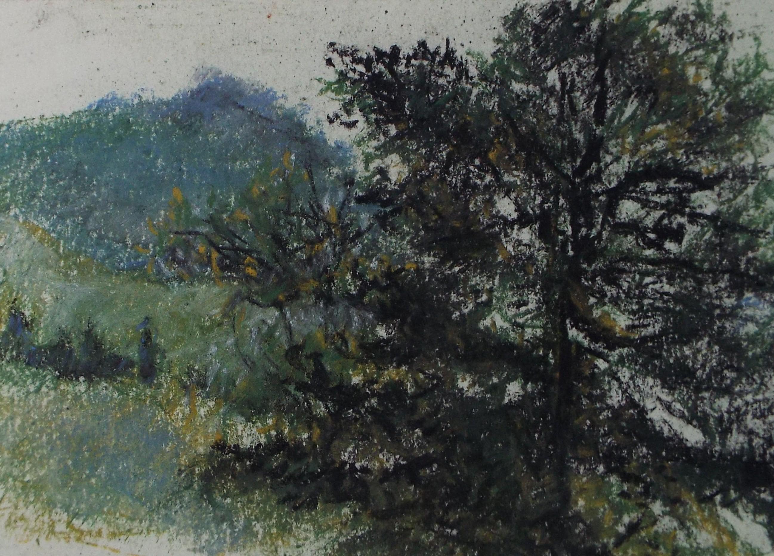 Original Pastel, 'Tree in a green landscape', Graham Benton RBSA (1934-2022), Dated 2004