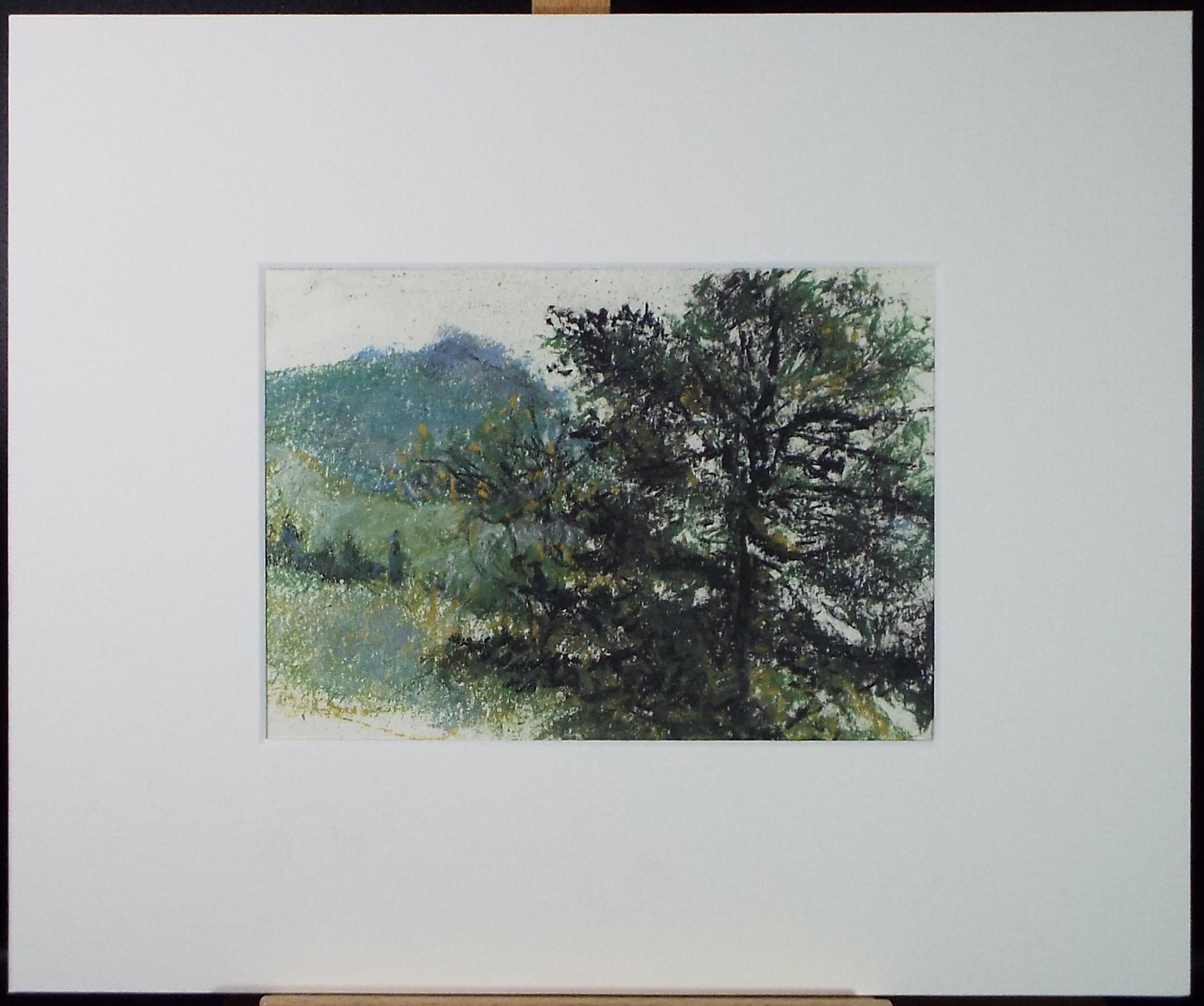 Original Pastel, 'Tree in a green landscape', Graham Benton RBSA (1934-2022), Dated 2004